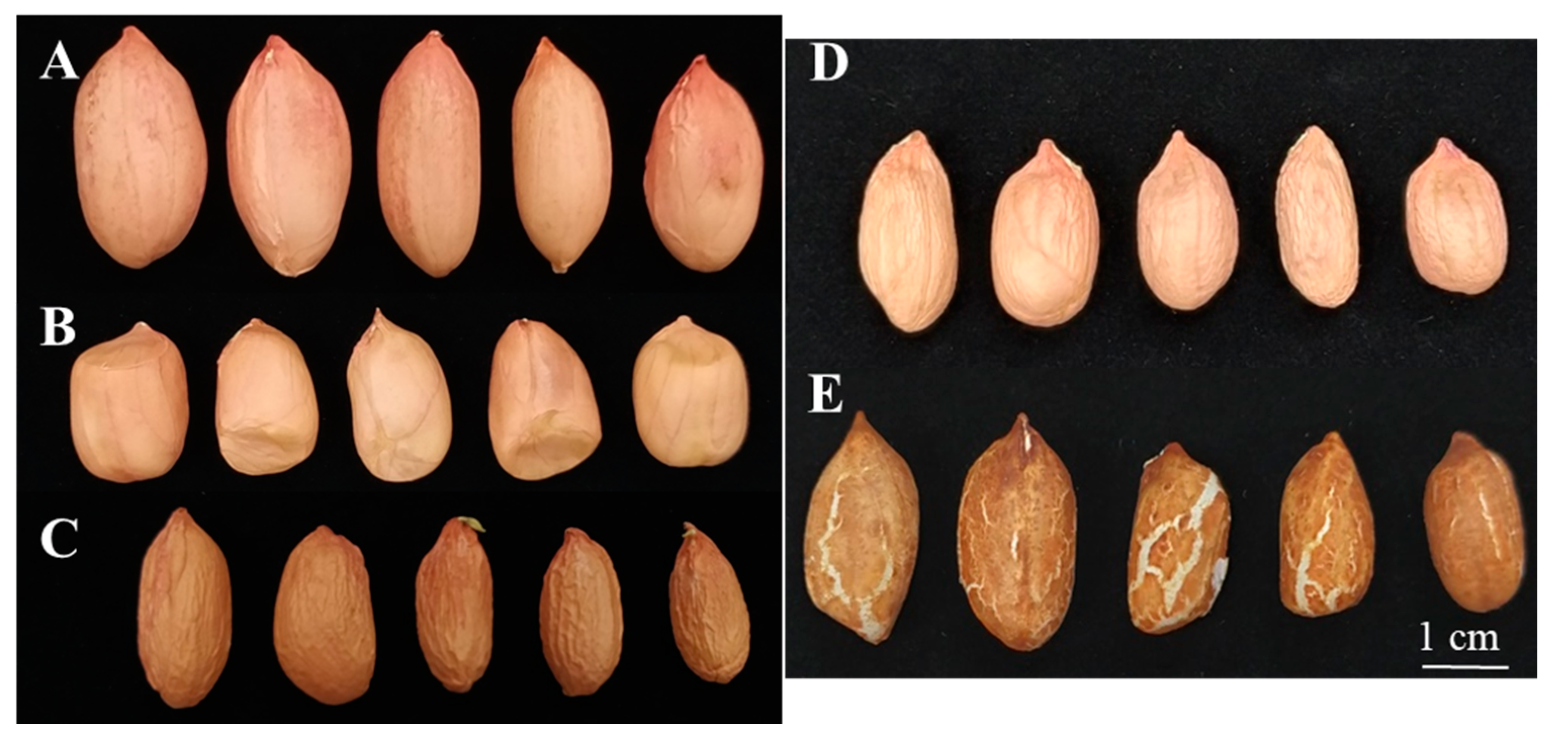 Agronomy 10 00655 g008