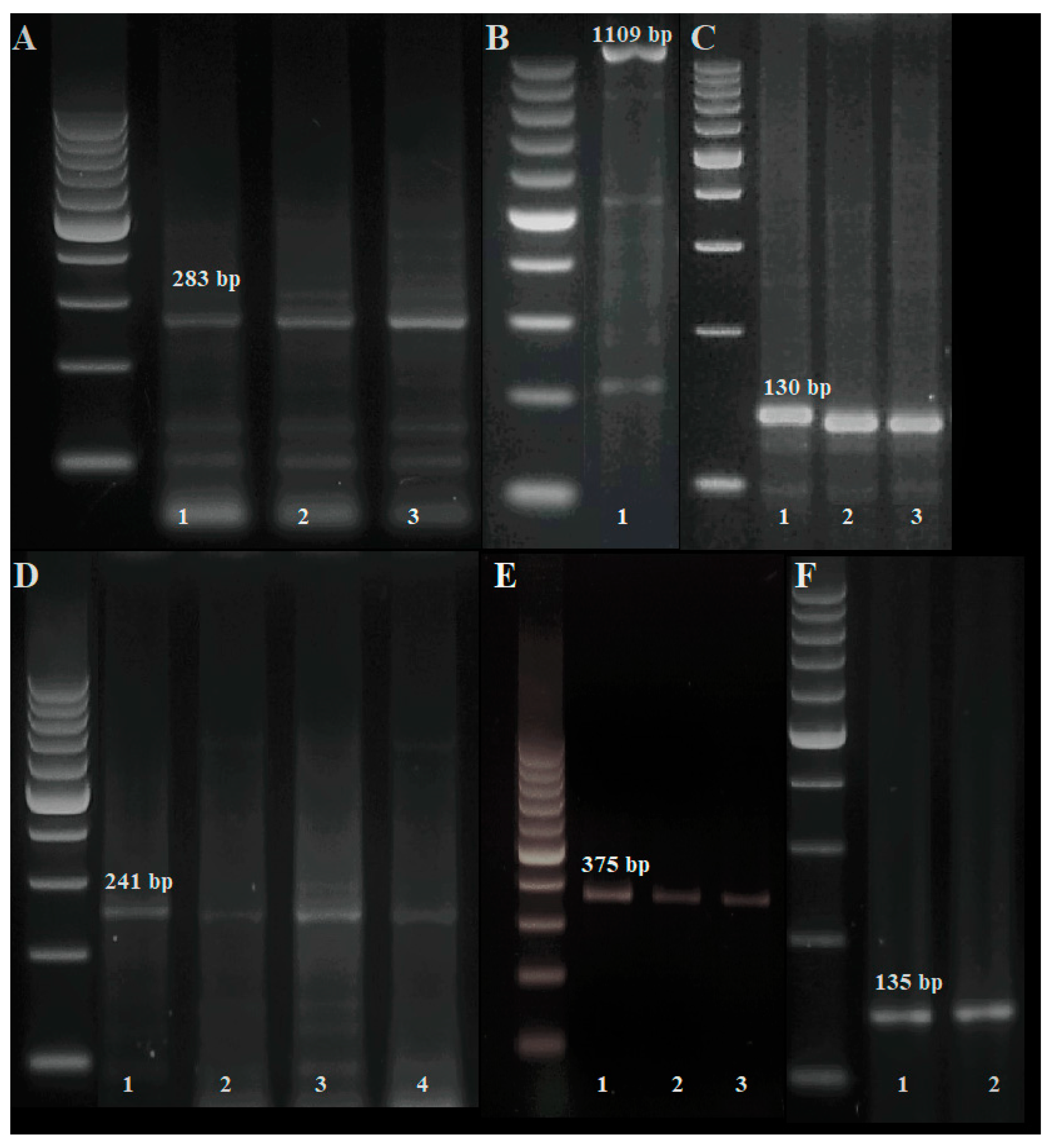 Agronomy 10 00658 g004
