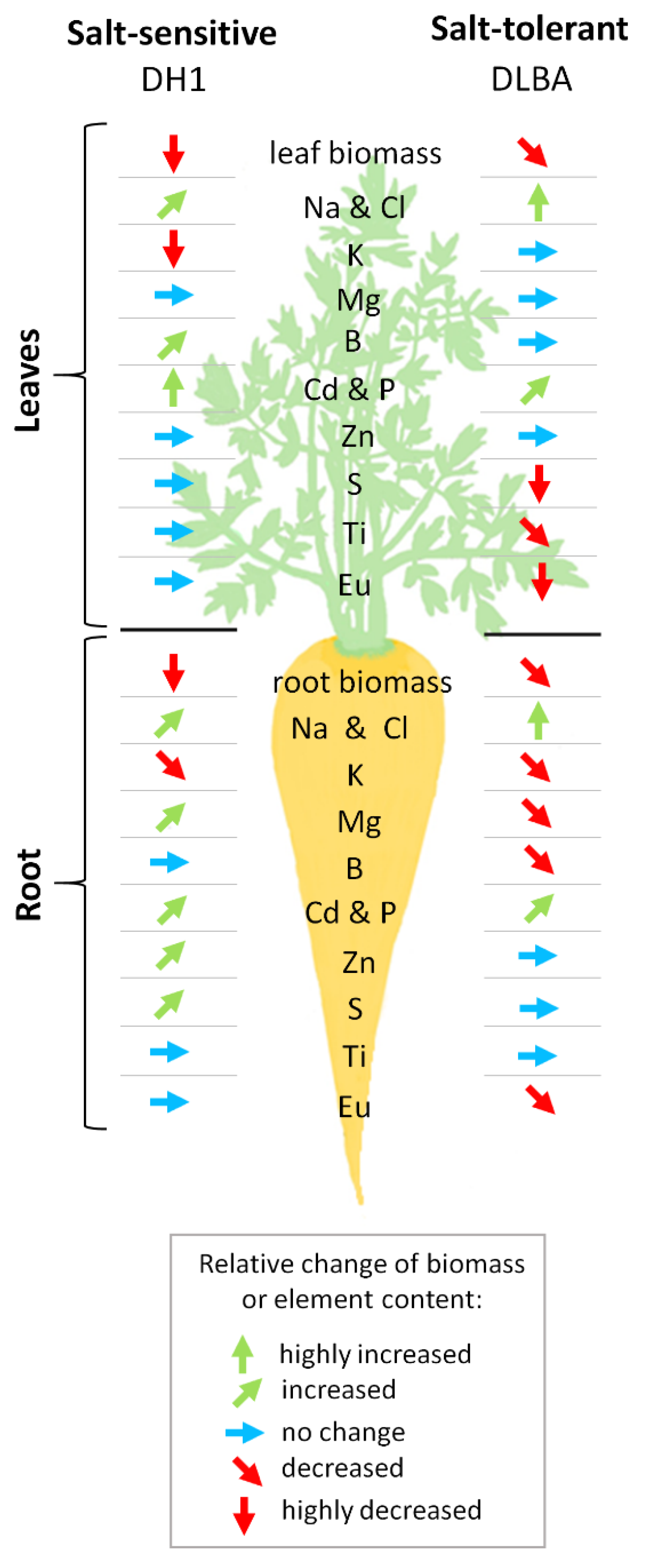Agronomy 10 00659 g005 Agronomy 10 00659 g005