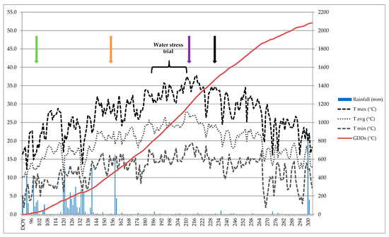 Agronomy Free Full Text Berry Quality Of Grapevine Under Water Stress As Affected By Rootstock Scion Interactions Through Gene Expression Regulation