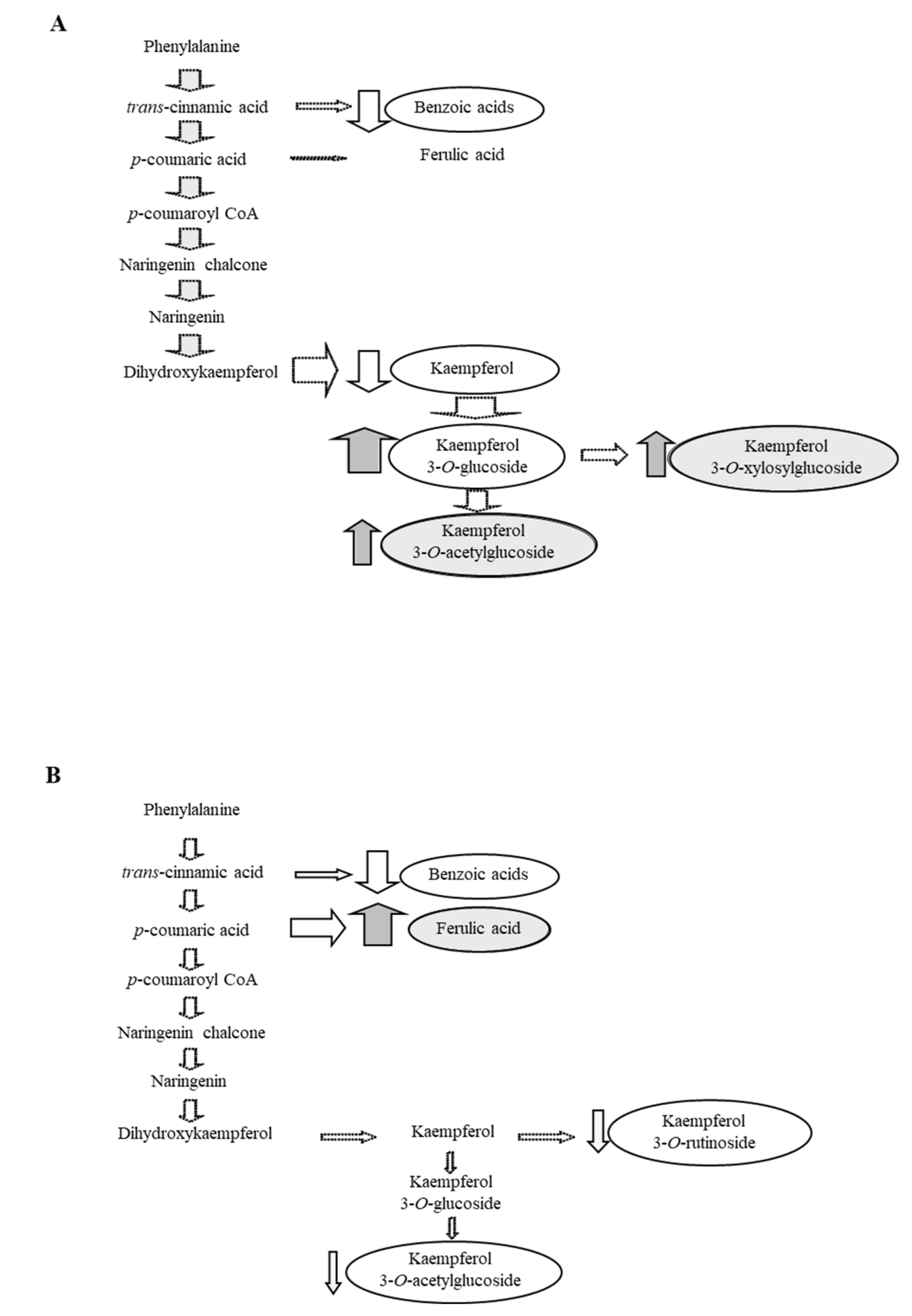 Agronomy 10 00682 g003 Agronomy 10 00682 g003