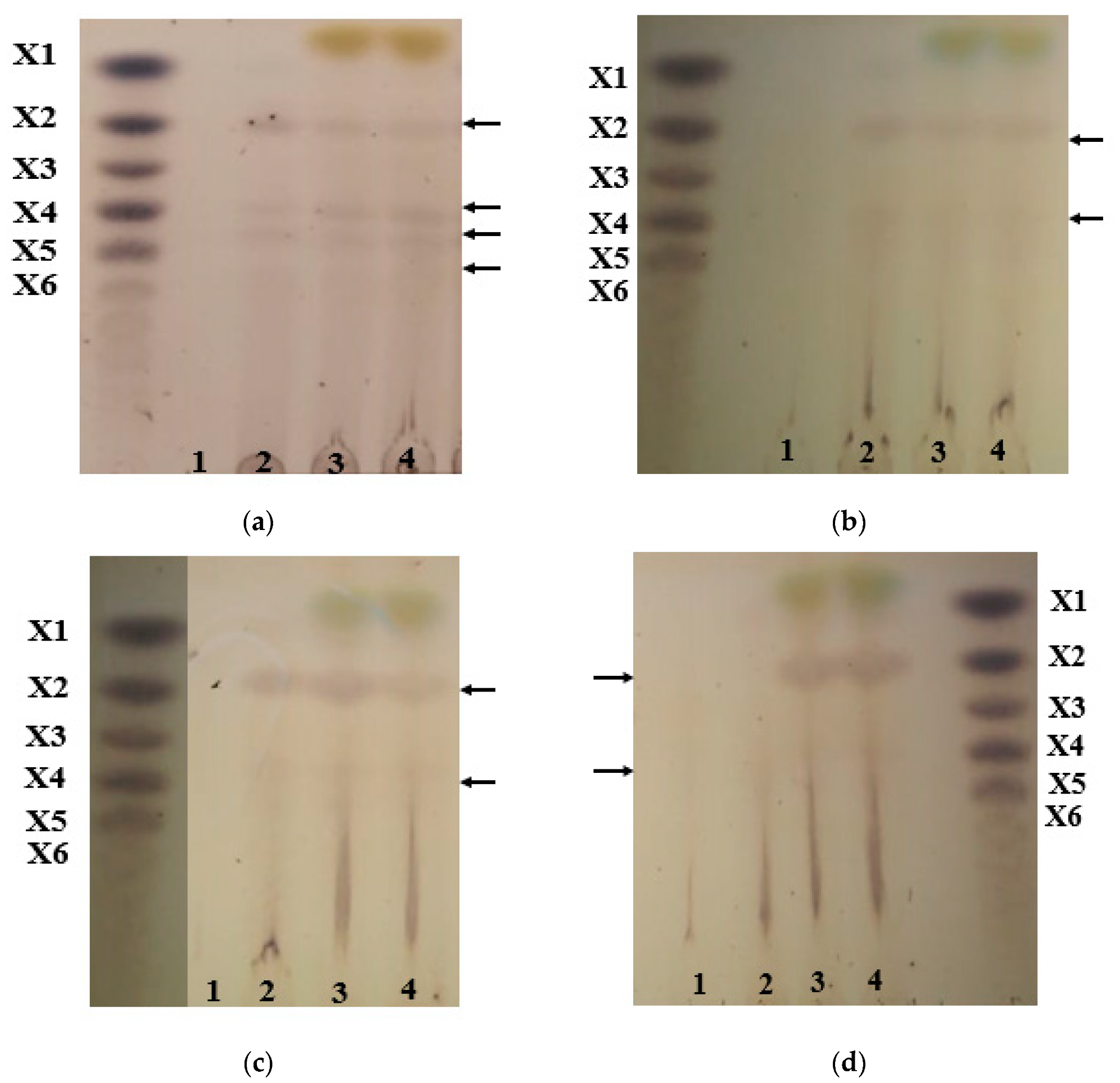 Agronomy 10 00688 g006 Agronomy 10 00688 g006