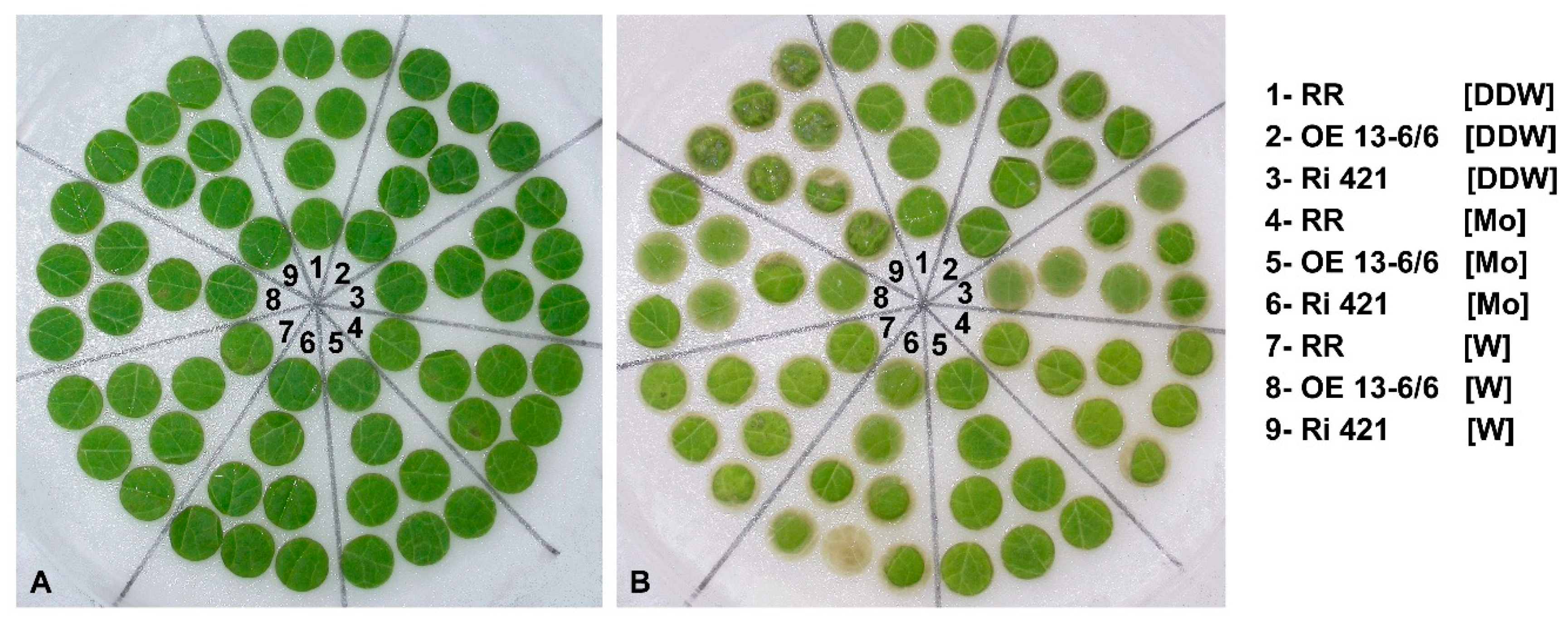 Agronomy 10 00694 g007 Agronomy 10 00694 g007