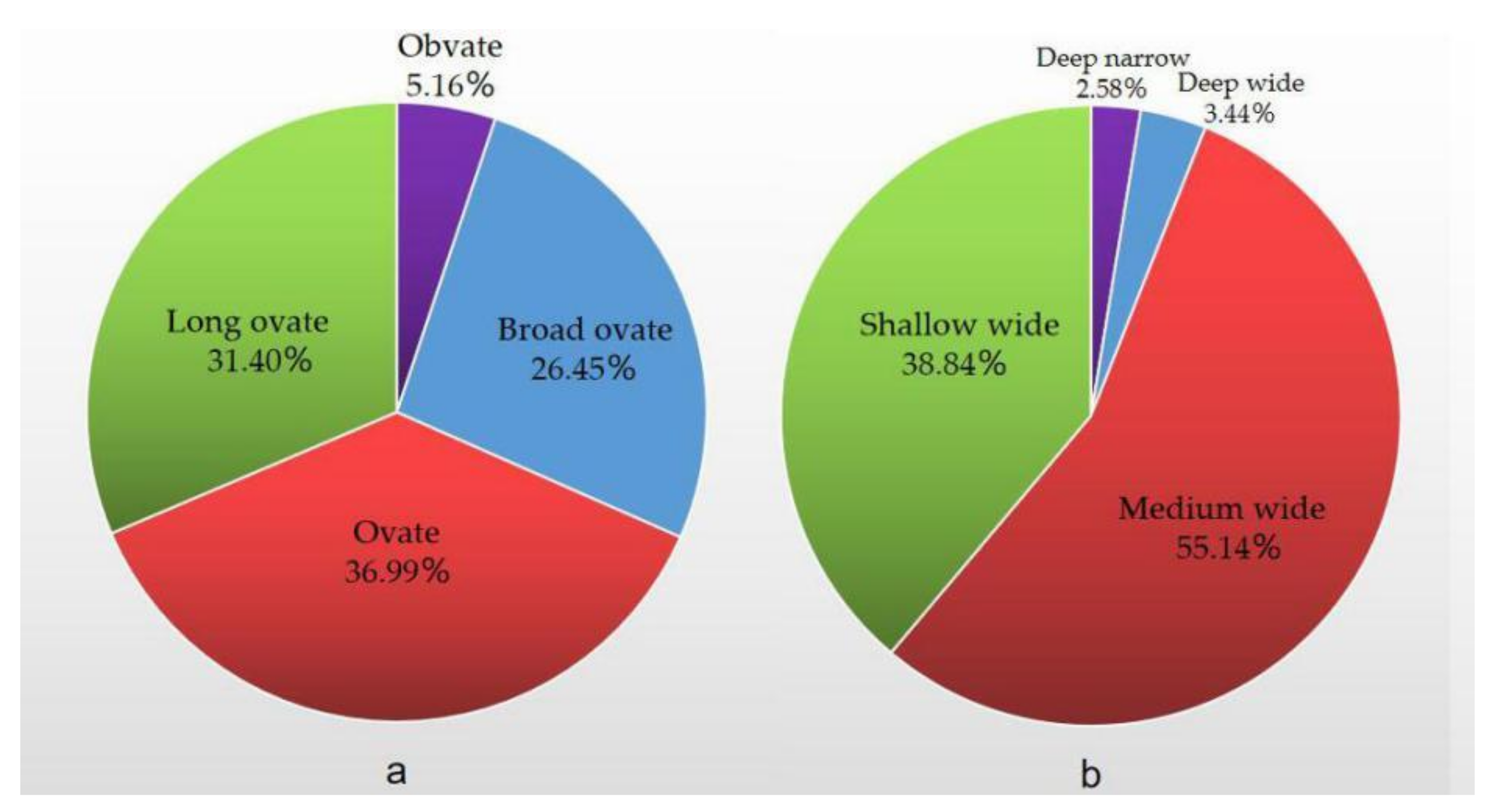 Agronomy 10 00697 g002 Agronomy 10 00697 g002