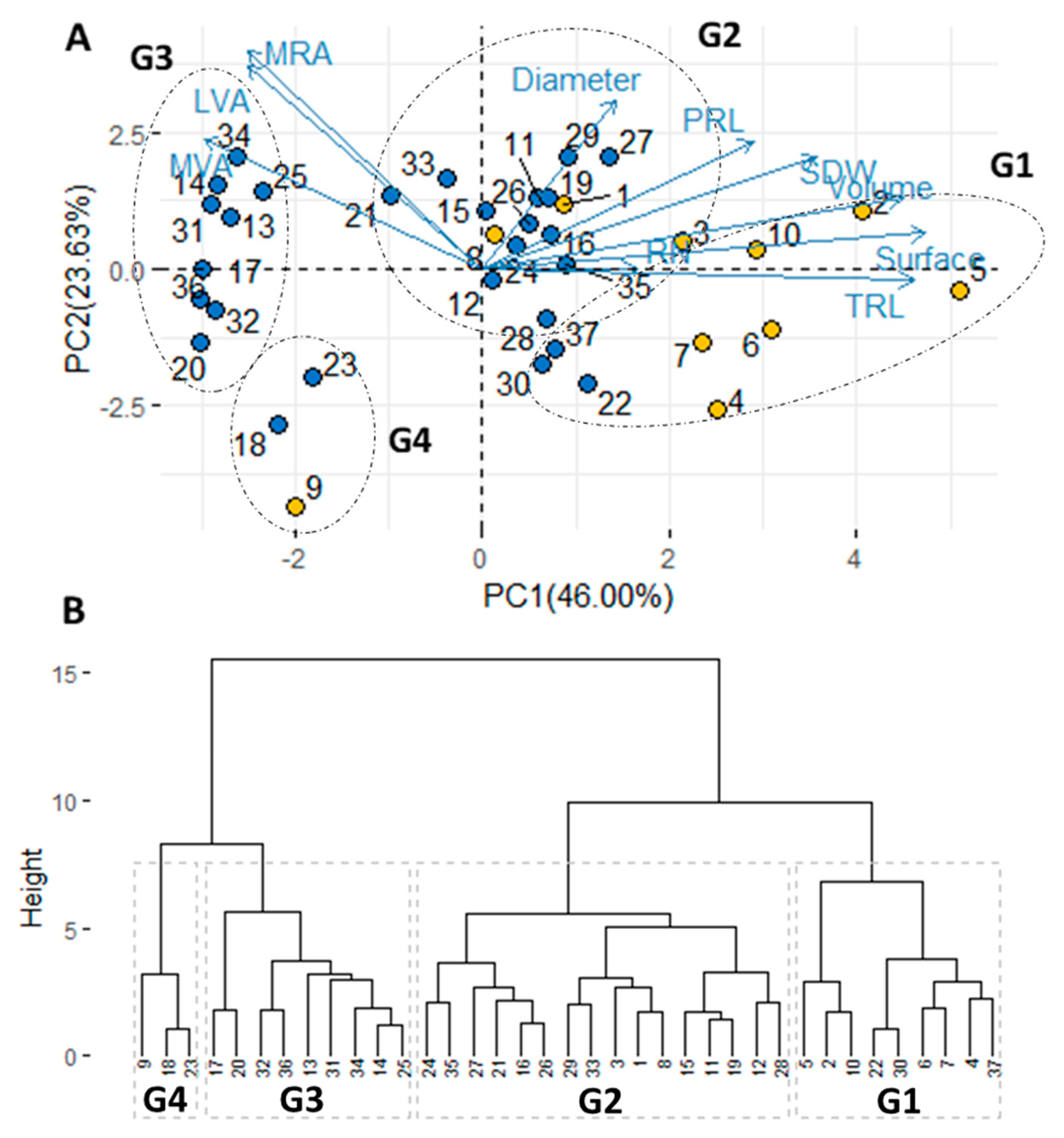 Agronomy 10 00713 g003 Agronomy 10 00713 g003
