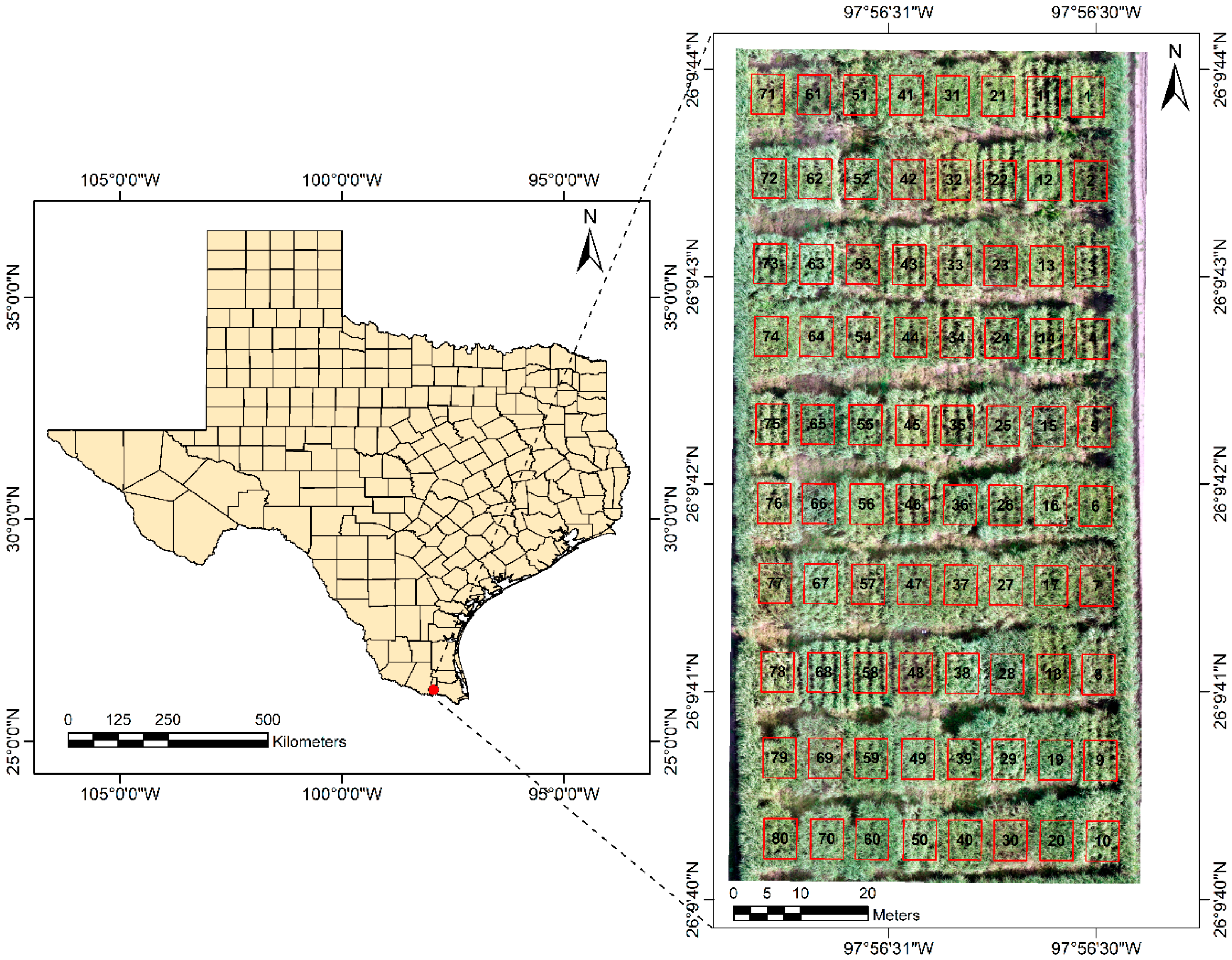 Agronomy 10 00718 g001 Agronomy 10 00718 g001