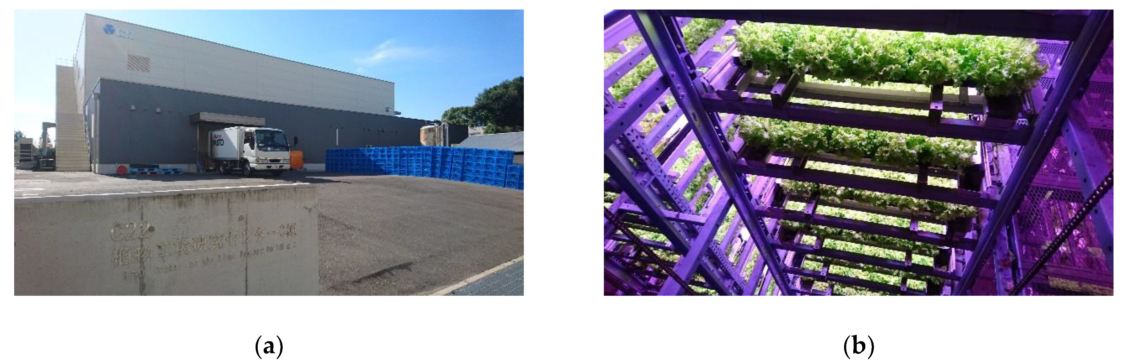 Agronomy 10 00723 g001