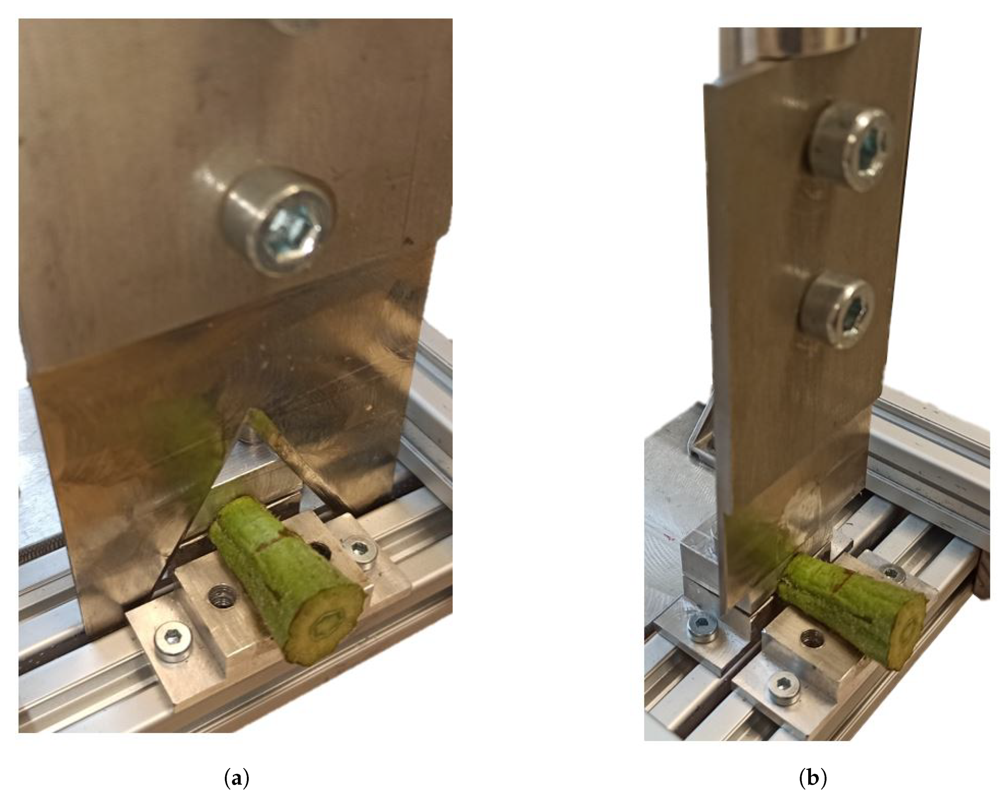Agronomy 10 00734 g007 Agronomy 10 00734 g007