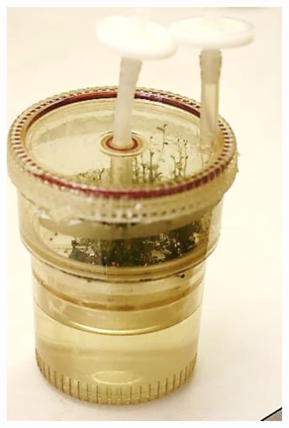 Agronomy 10 00744 g005 Agronomy 10 00744 g005