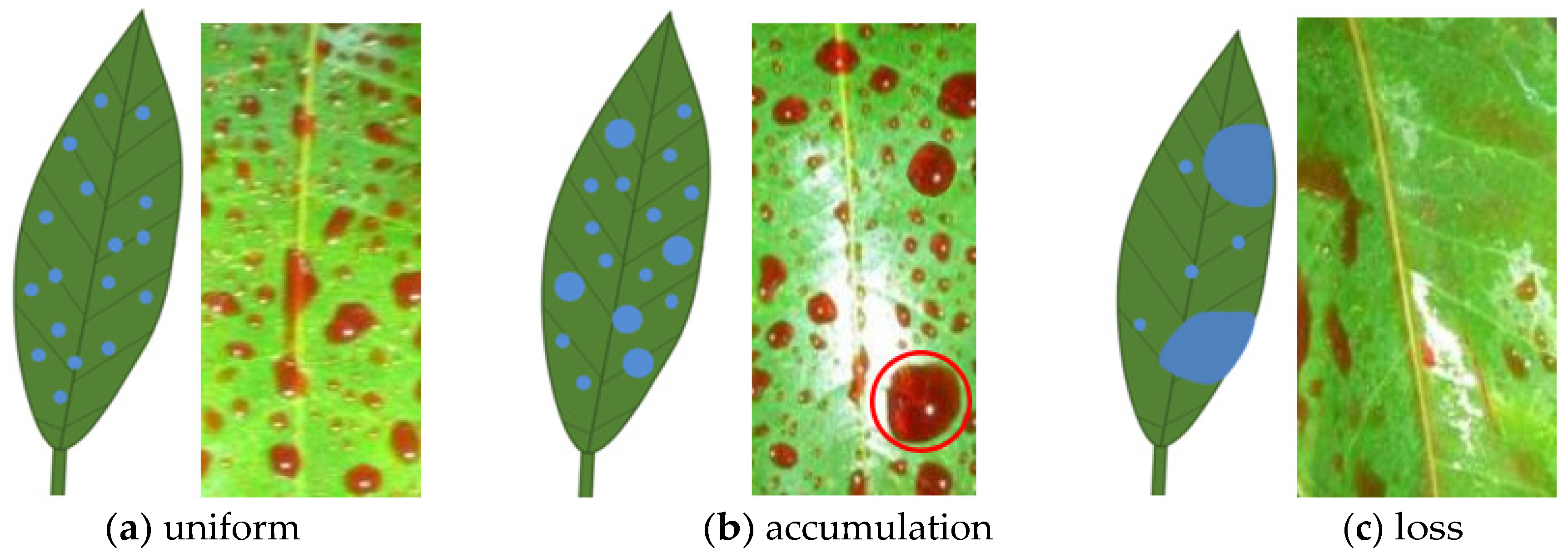Agronomy 10 00747 g001 Agronomy 10 00747 g001