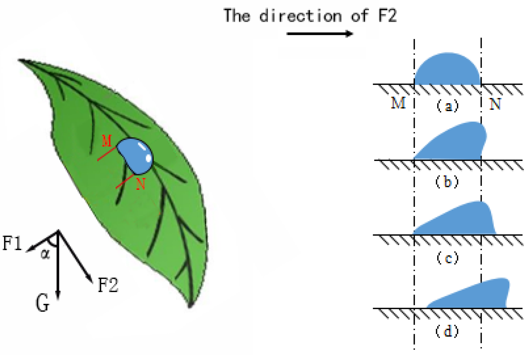 Agronomy 10 00747 g002 Agronomy 10 00747 g002