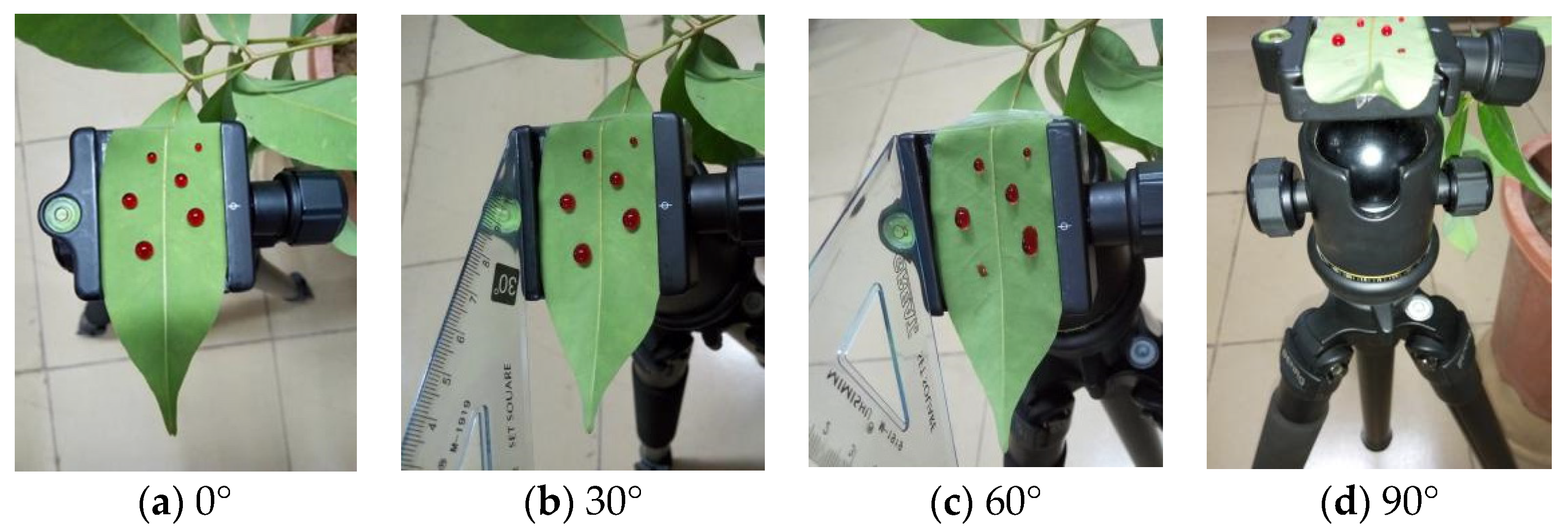 Agronomy 10 00747 g003 Agronomy 10 00747 g003