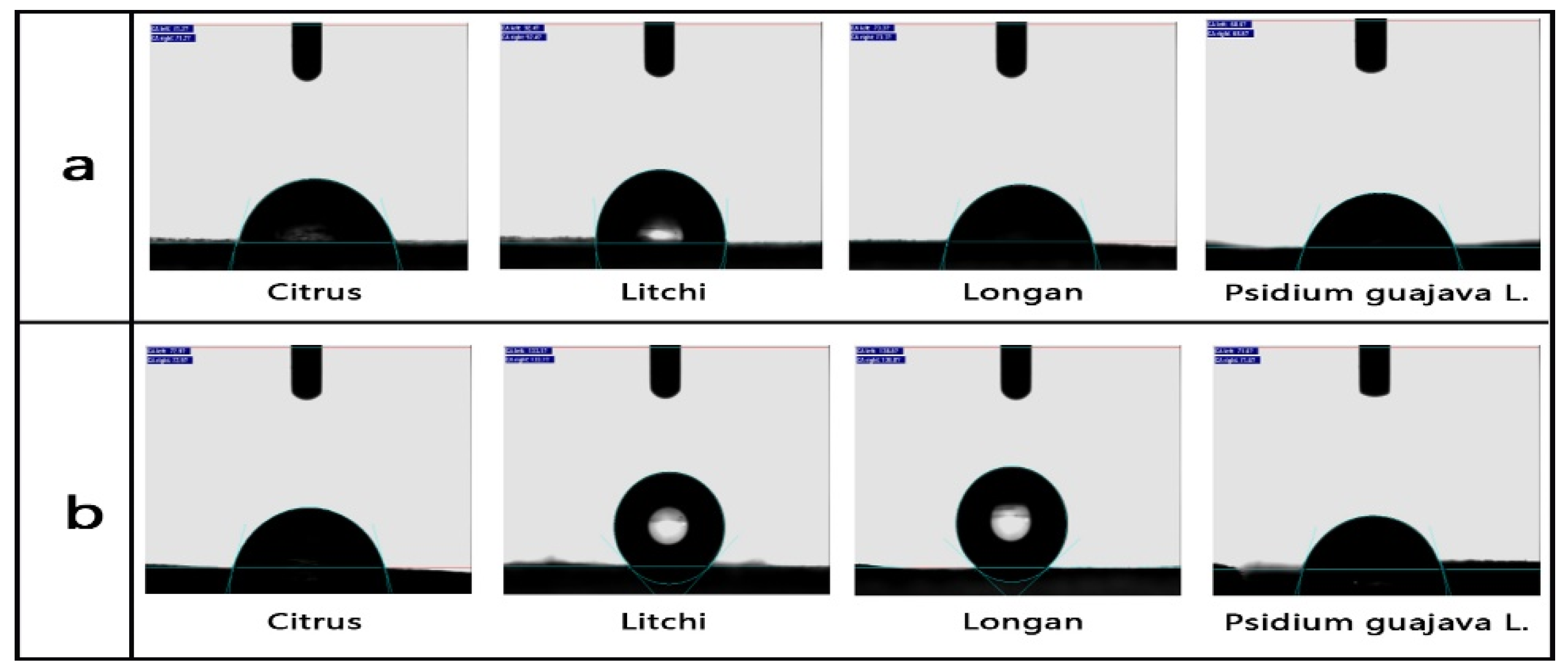 Agronomy 10 00747 g010 Agronomy 10 00747 g010