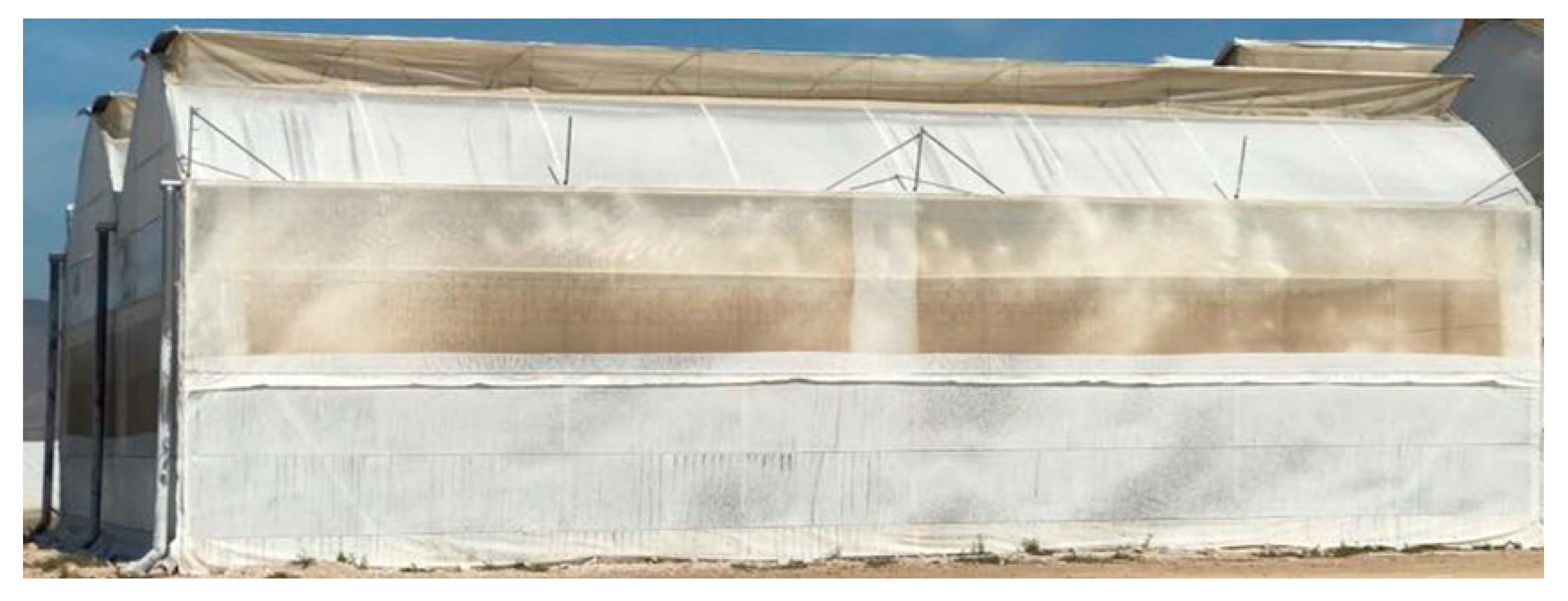 Agronomy 10 00752 g001 Agronomy 10 00752 g001