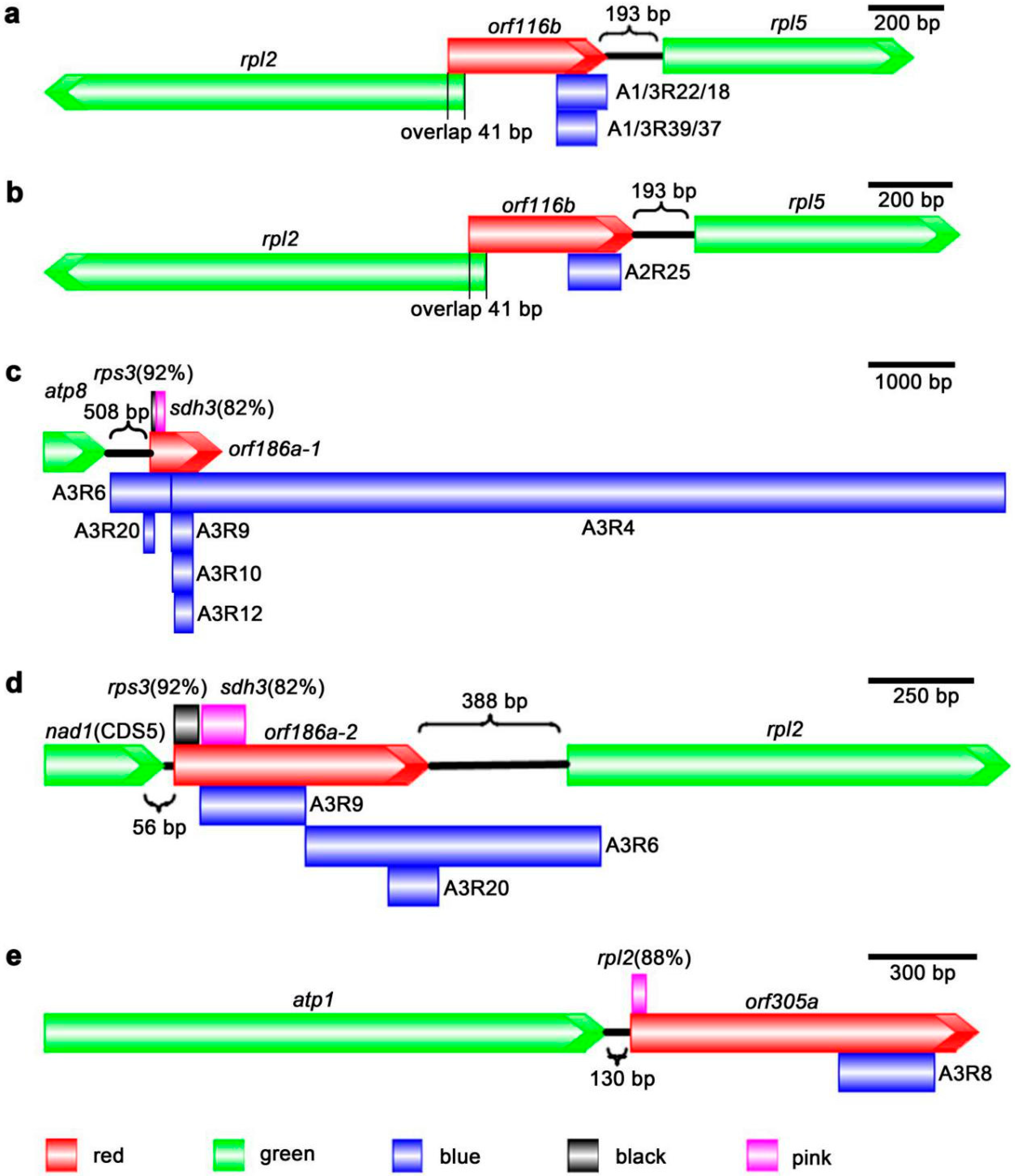 Agronomy 10 00765 g005 Agronomy 10 00765 g005
