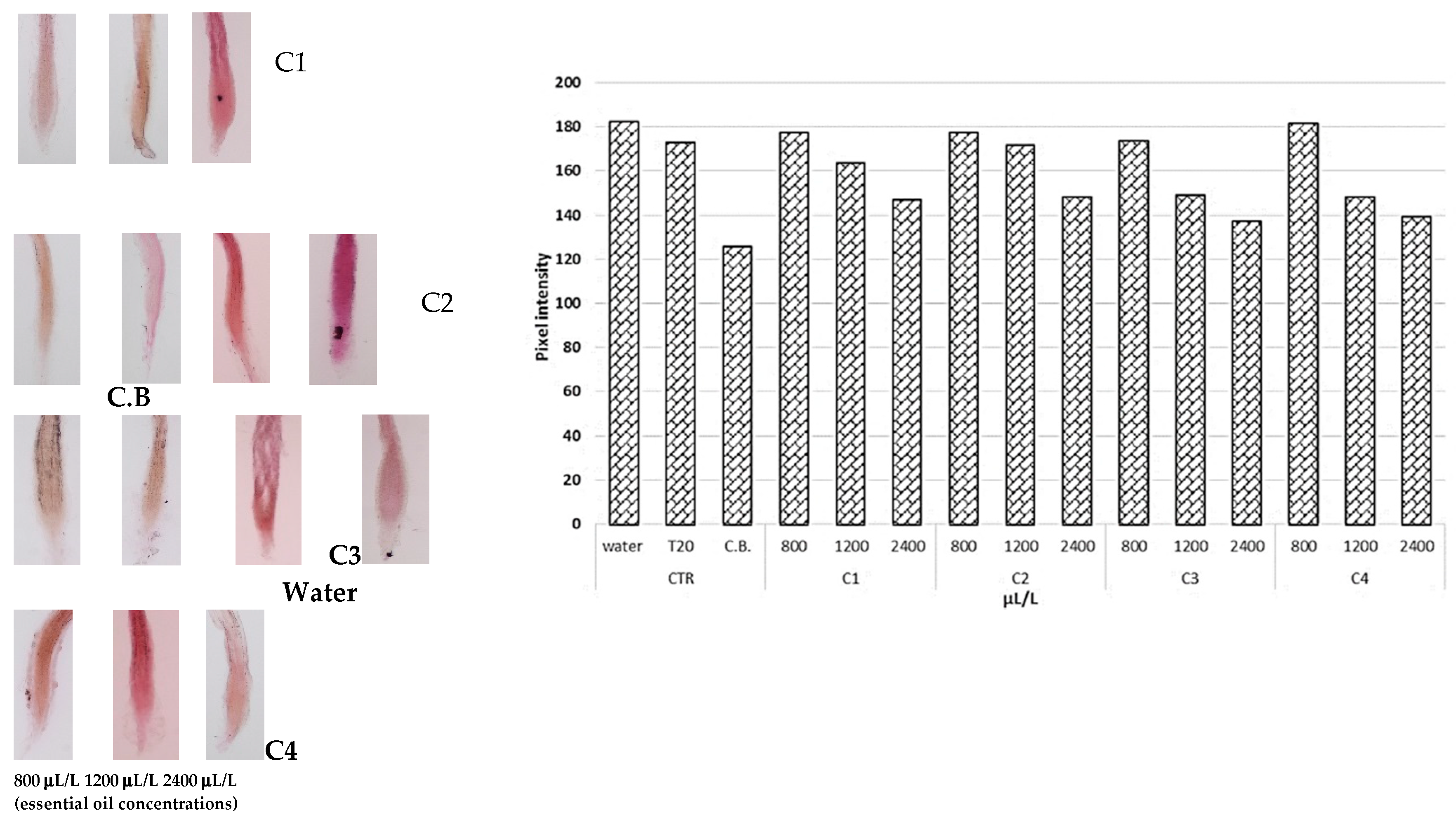 Agronomy 10 00775 g006 Agronomy 10 00775 g006