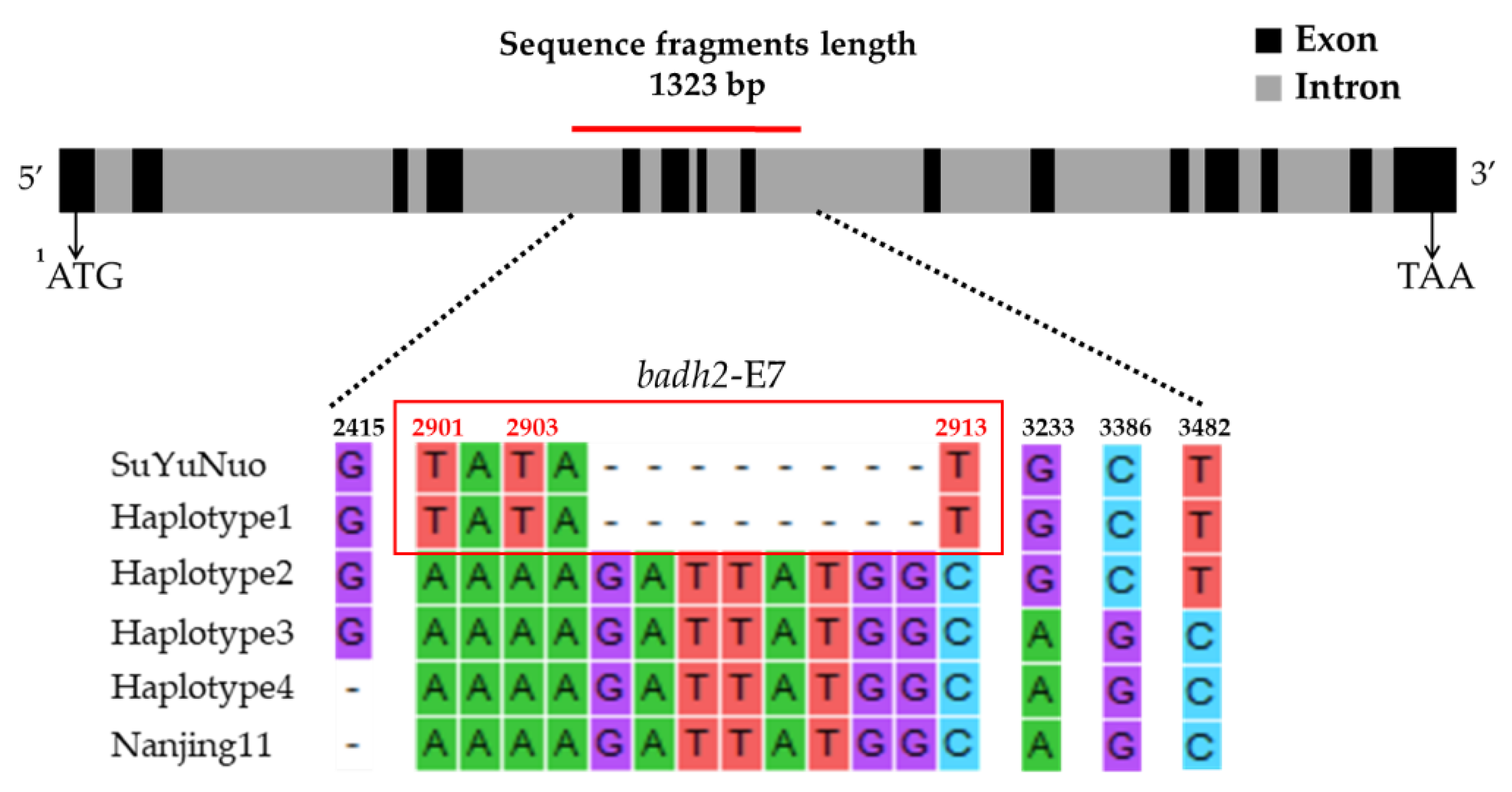 Agronomy 10 00779 g003