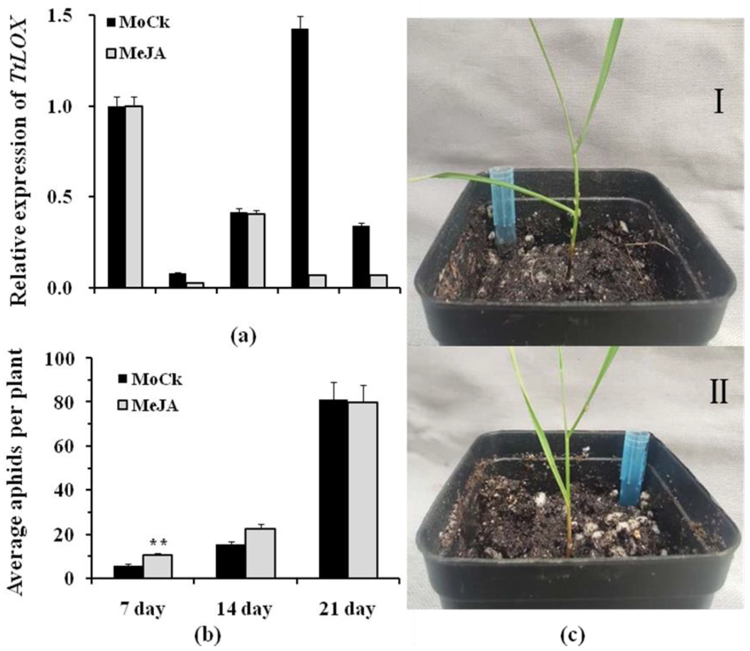 Agronomy 10 00780 g003