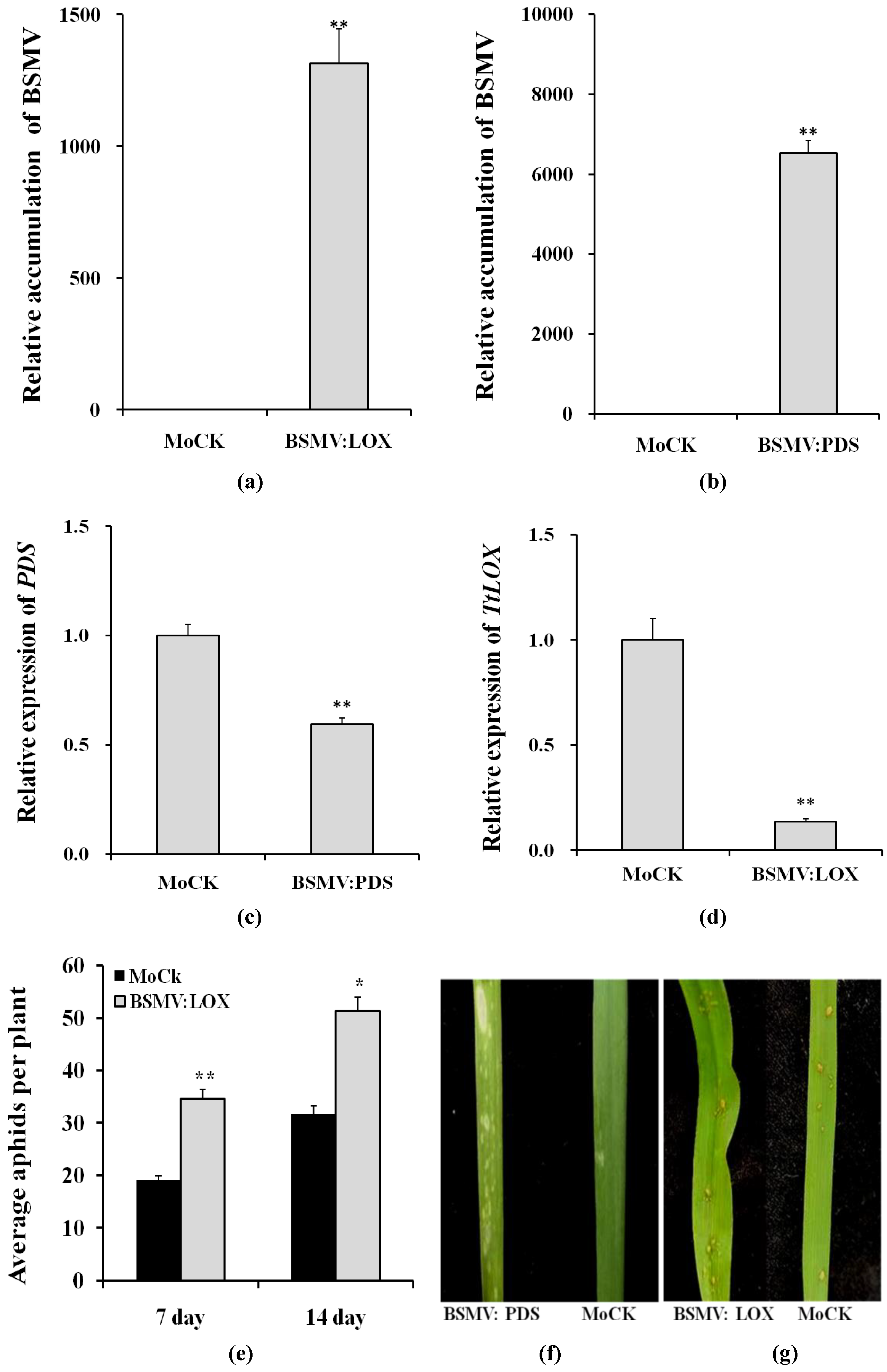 Agronomy 10 00780 g004