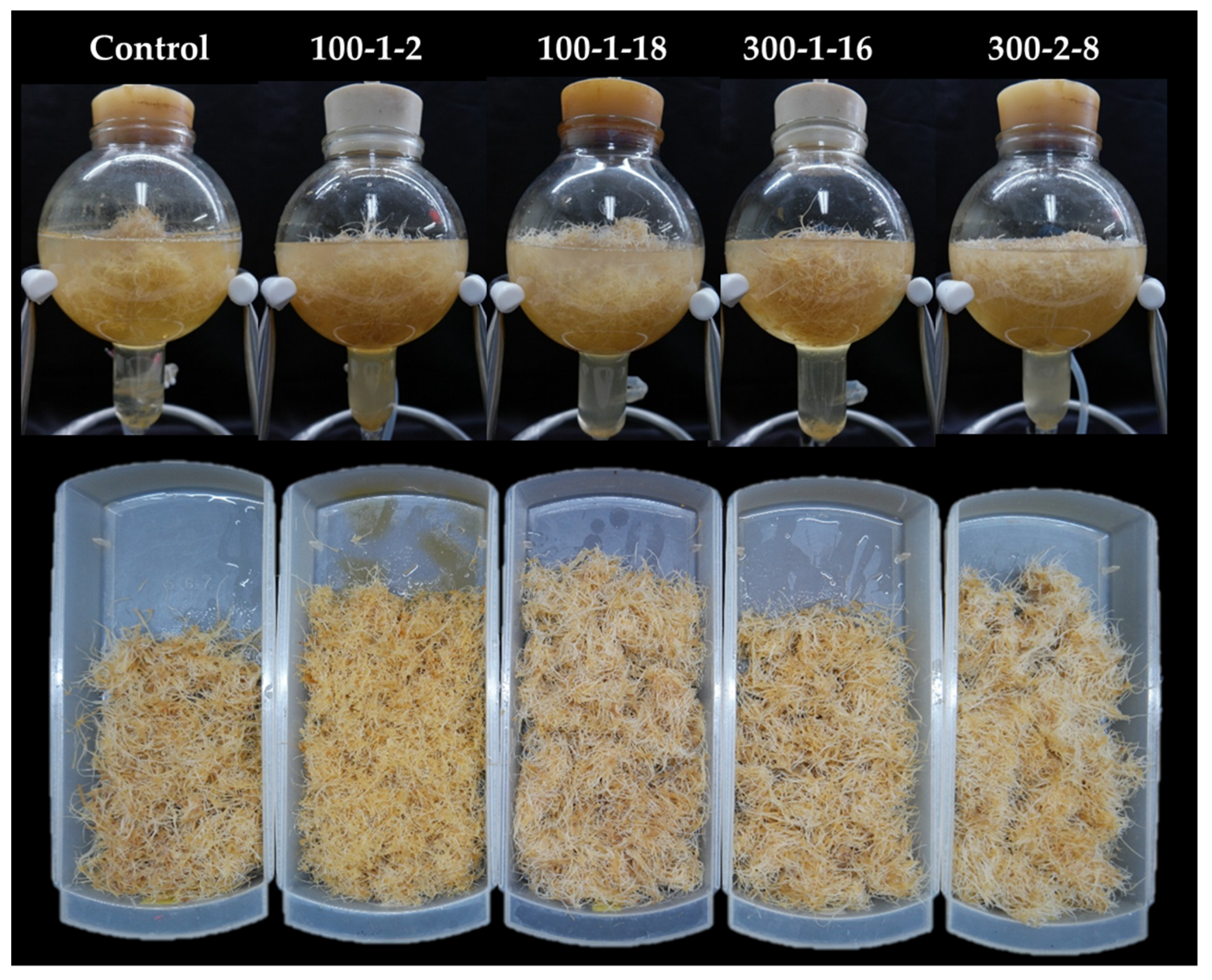 Agronomy 10 00785 g006 Agronomy 10 00785 g006