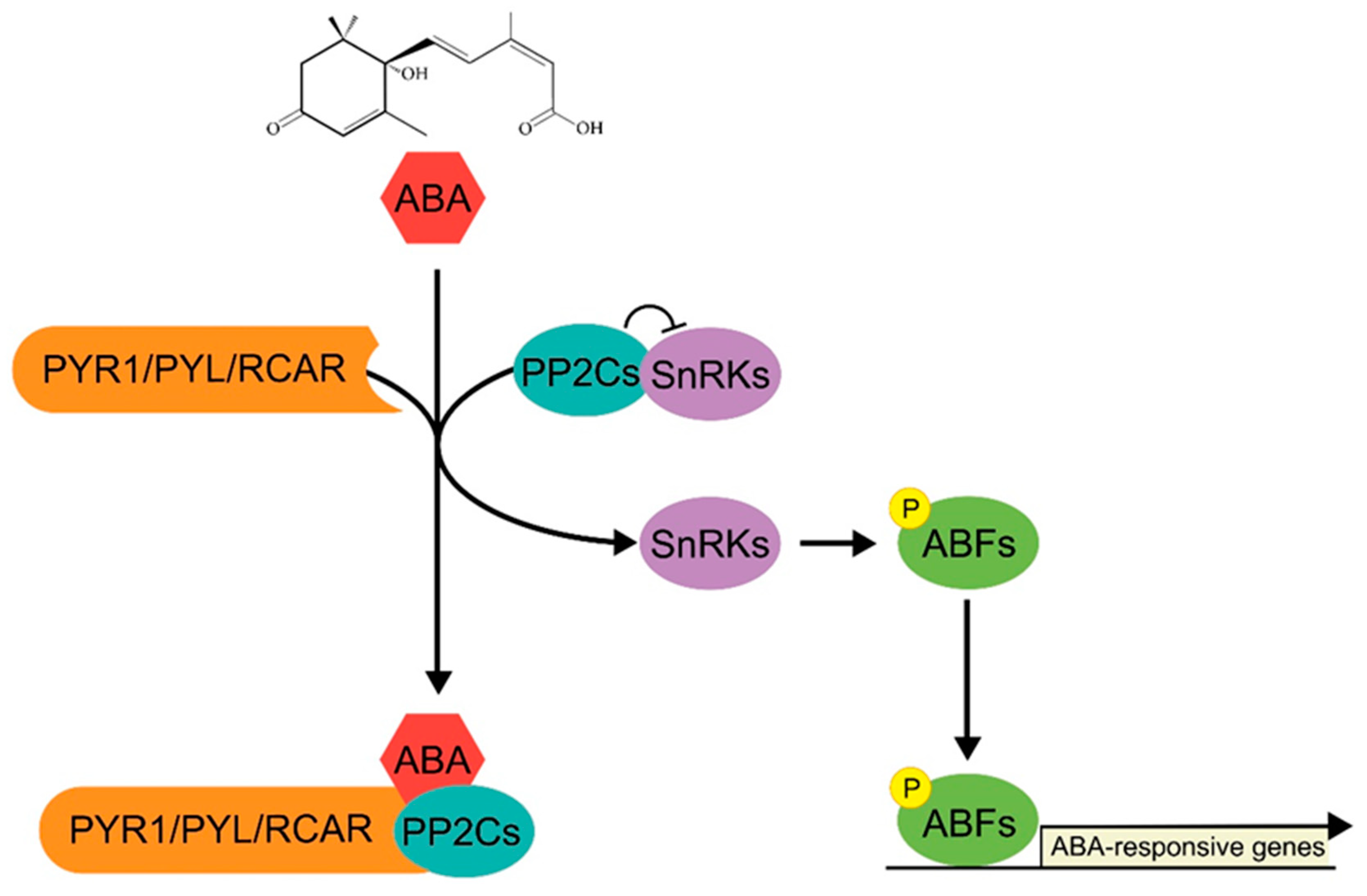 Agronomy 10 00788 g001 Agronomy 10 00788 g001