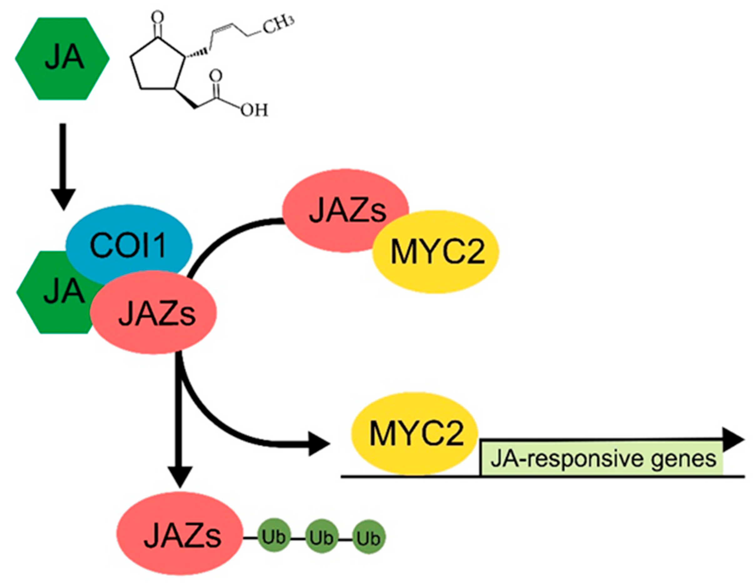 Agronomy 10 00788 g002 Agronomy 10 00788 g002