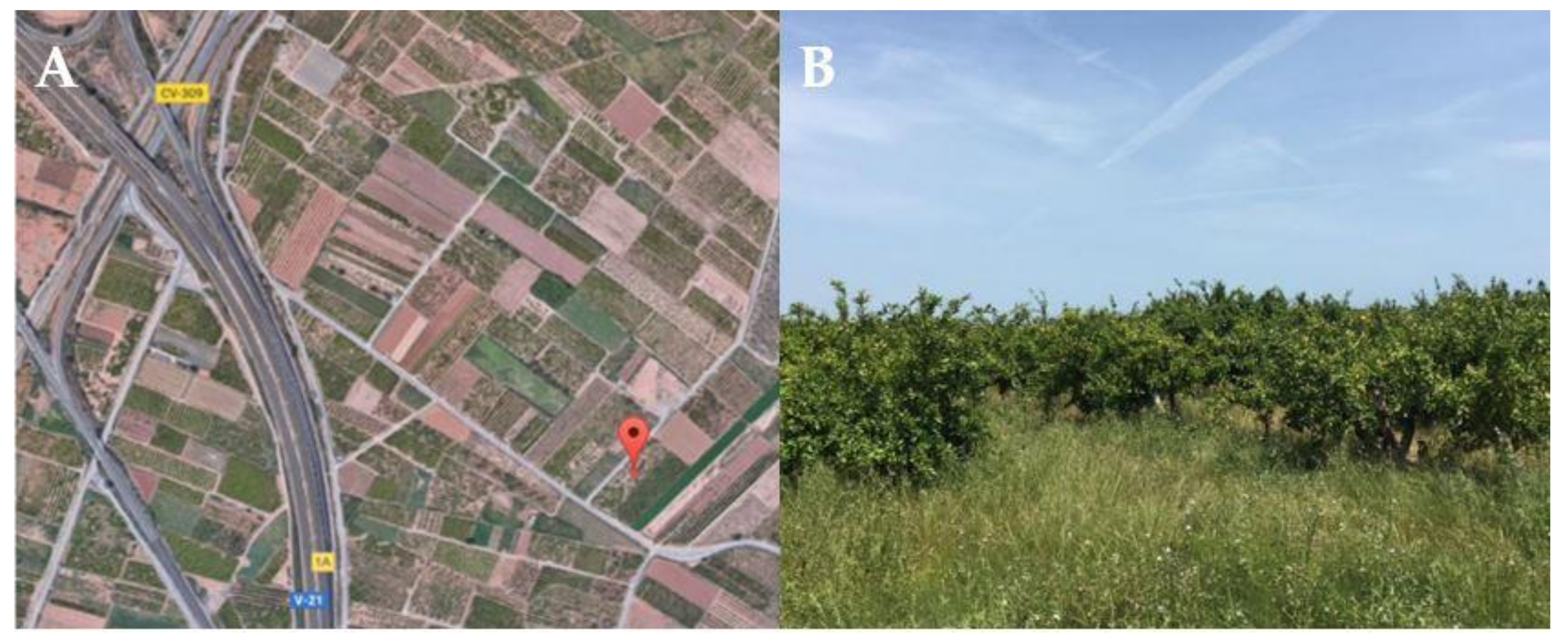 Agronomy 10 00791 g001