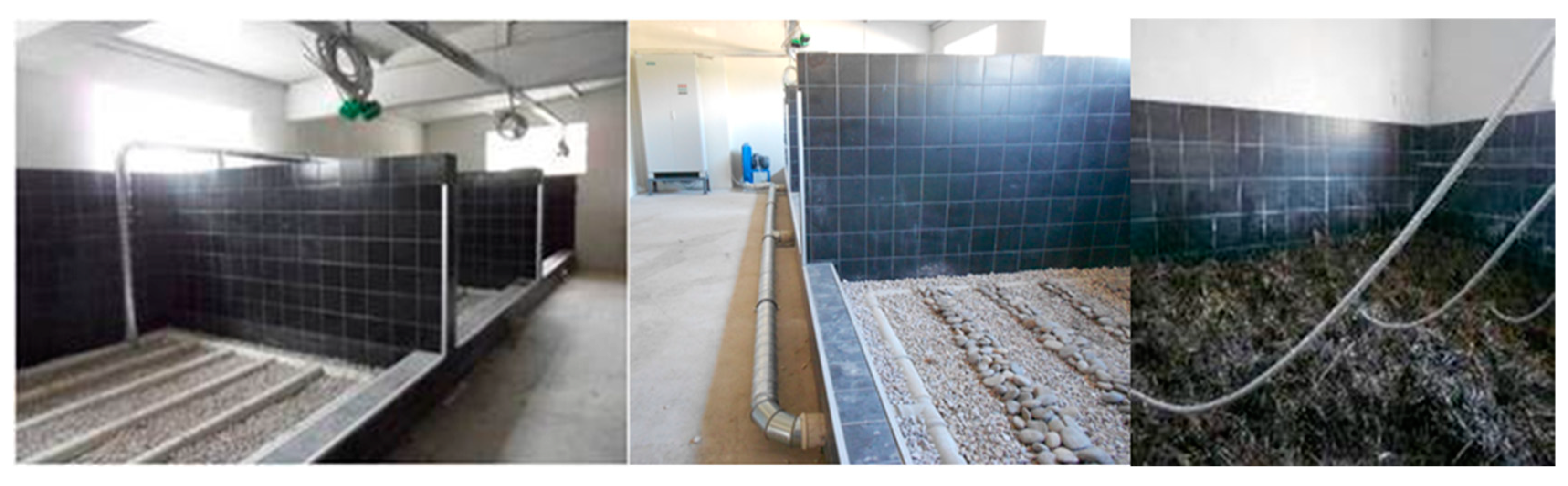 Agronomy 10 00797 g001 Agronomy 10 00797 g001