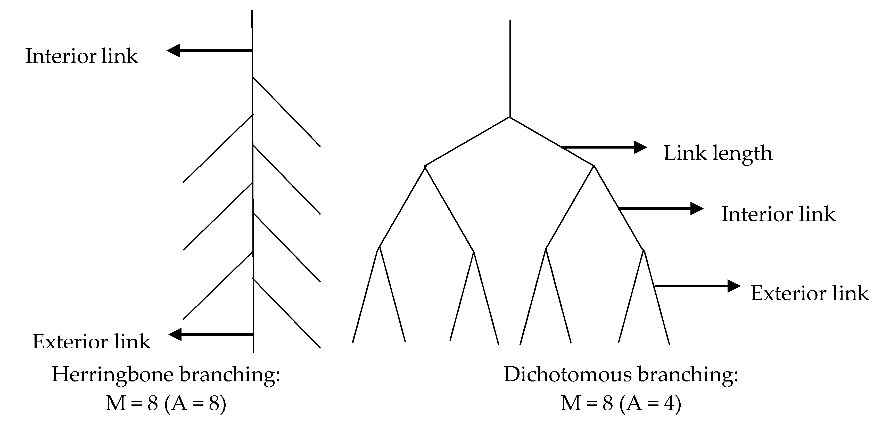 いいスタイル Analyses Topological and Fractal and Defense Antioxidant 口紅