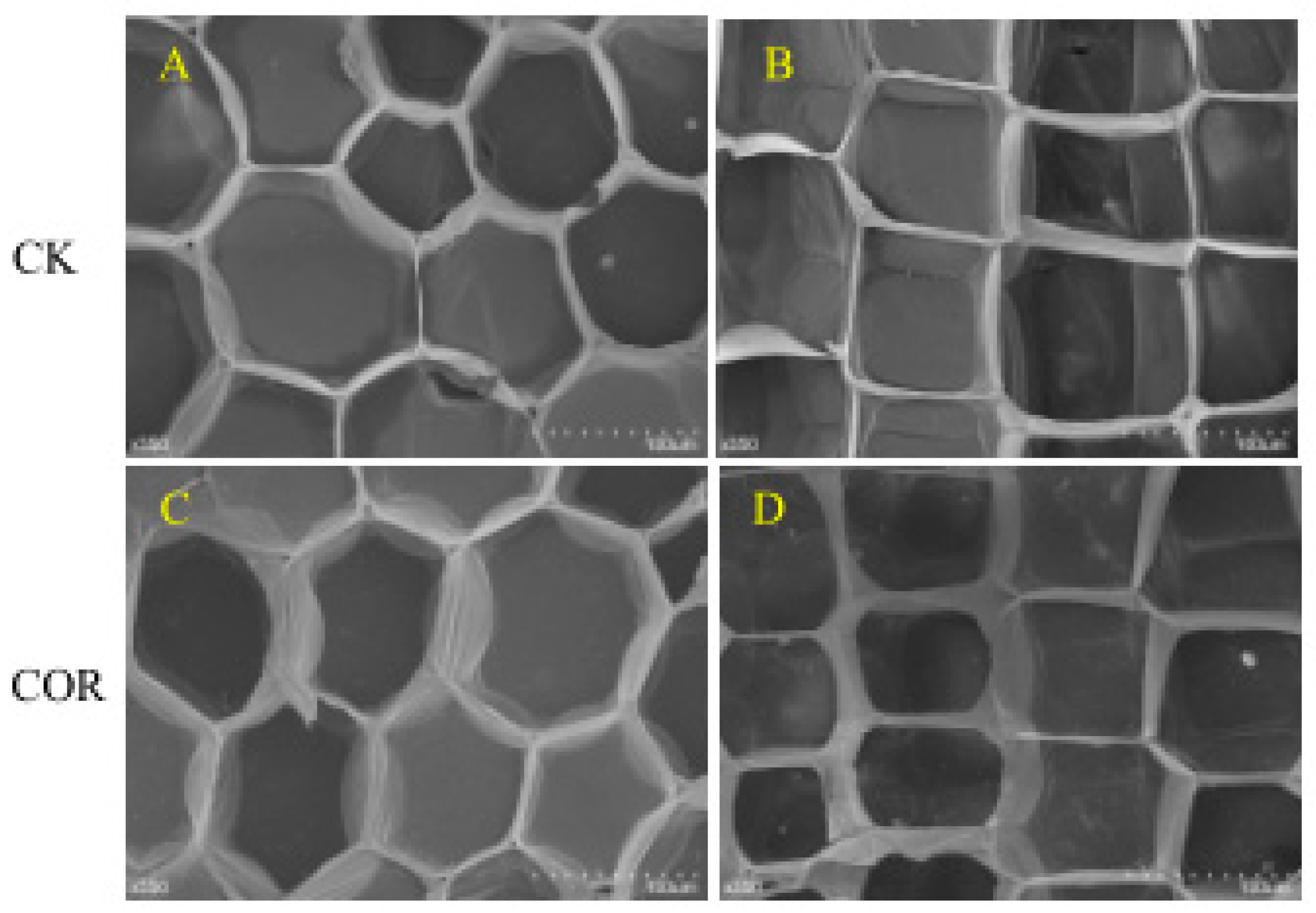 Agronomy 10 00807 g006