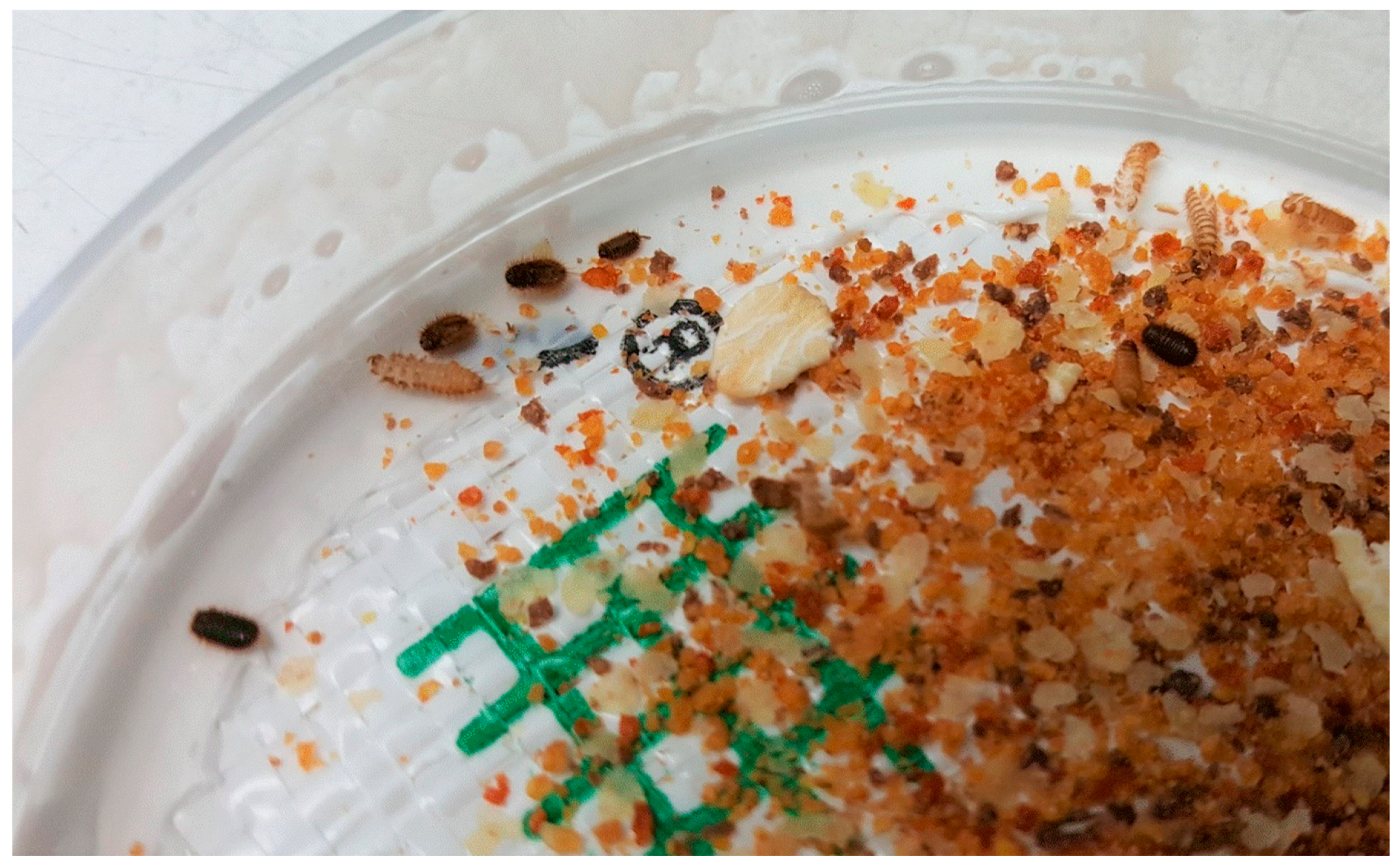 Agronomy 10 00814 g001 Agronomy 10 00814 g001