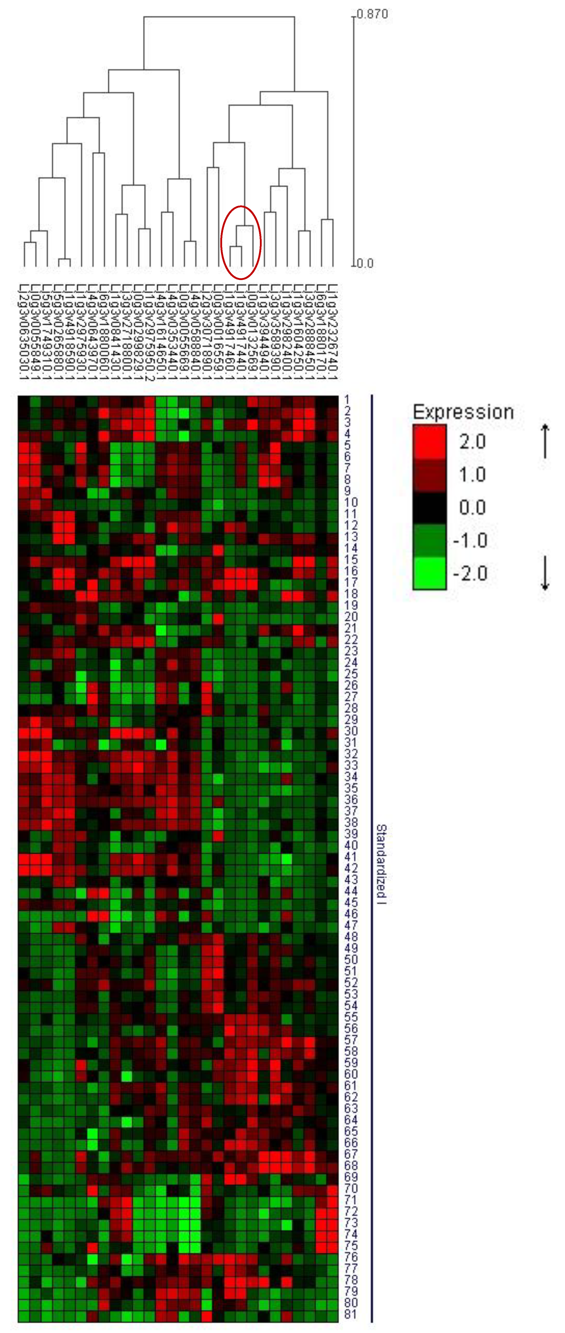 Agronomy 10 00819 g004 Agronomy 10 00819 g004