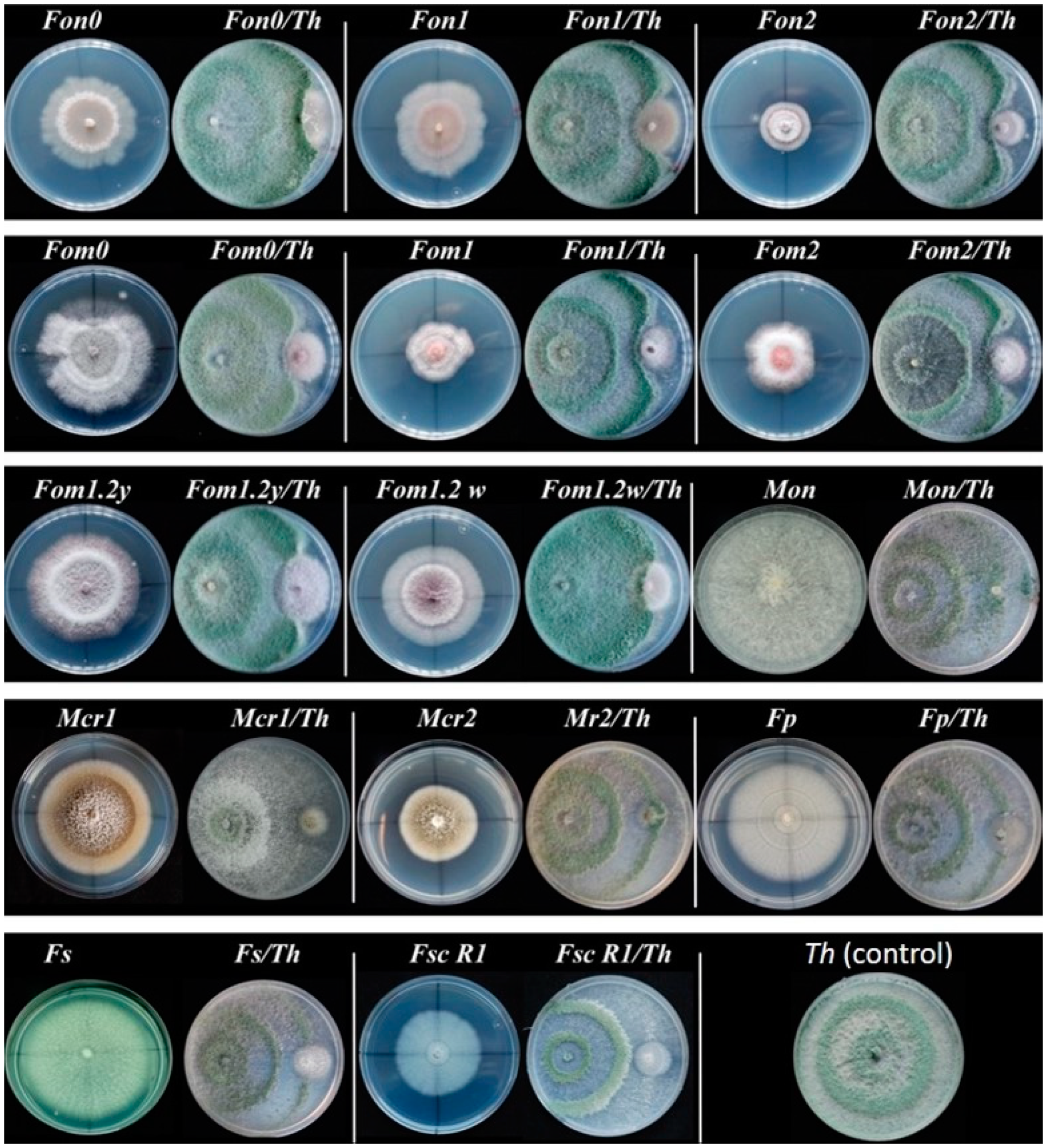 Agronomy 10 00820 g002