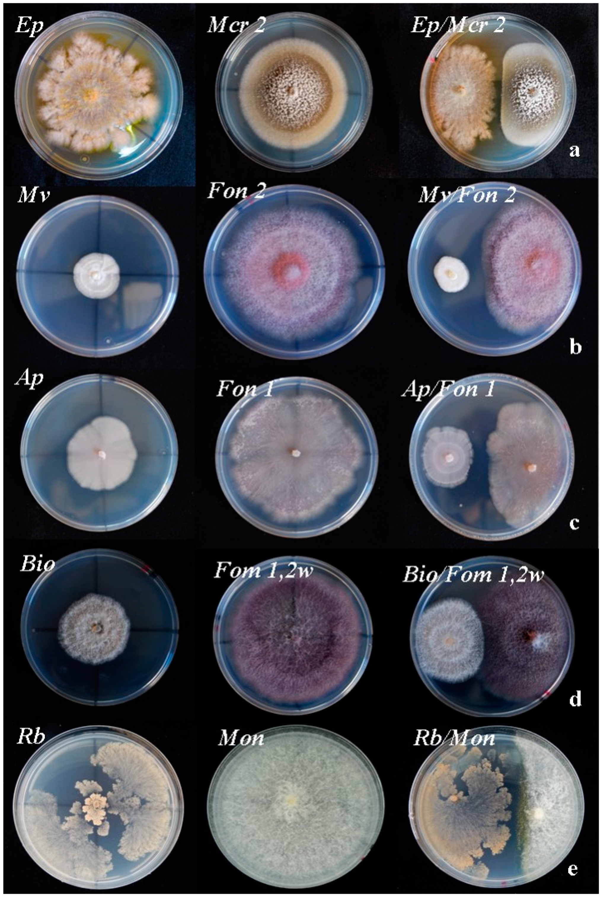 Agronomy 10 00820 g003