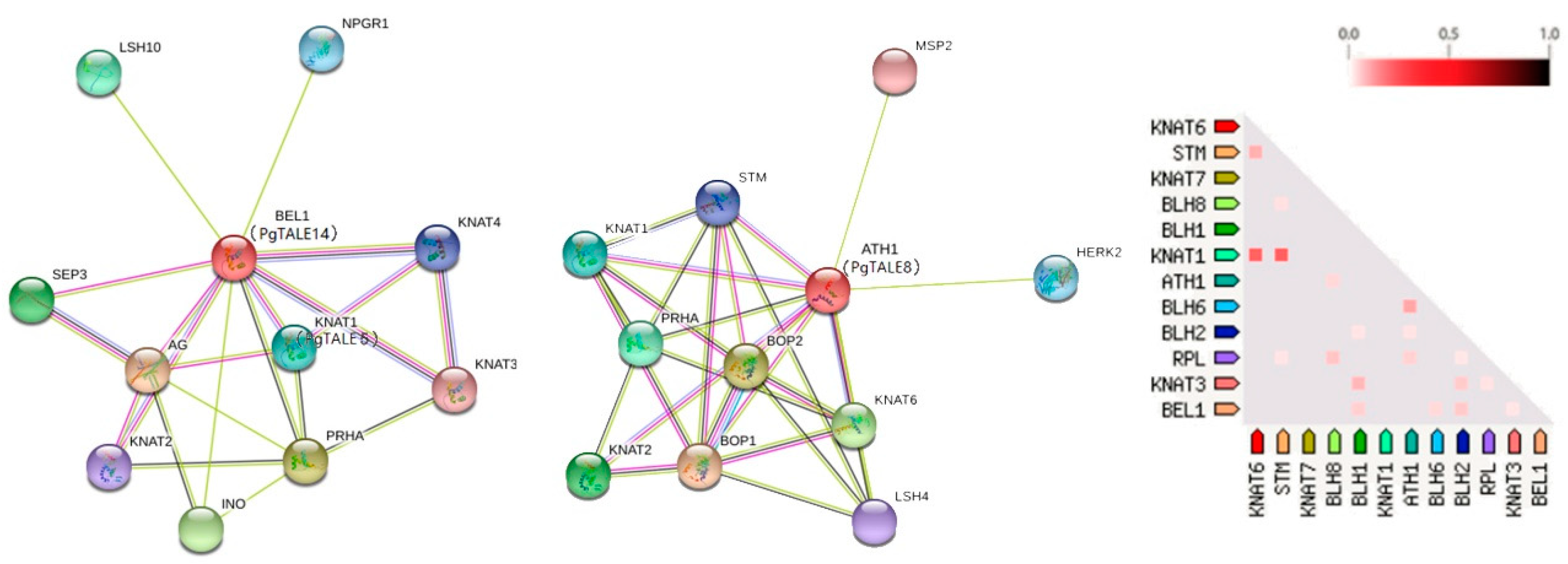 Agronomy 10 00829 g004