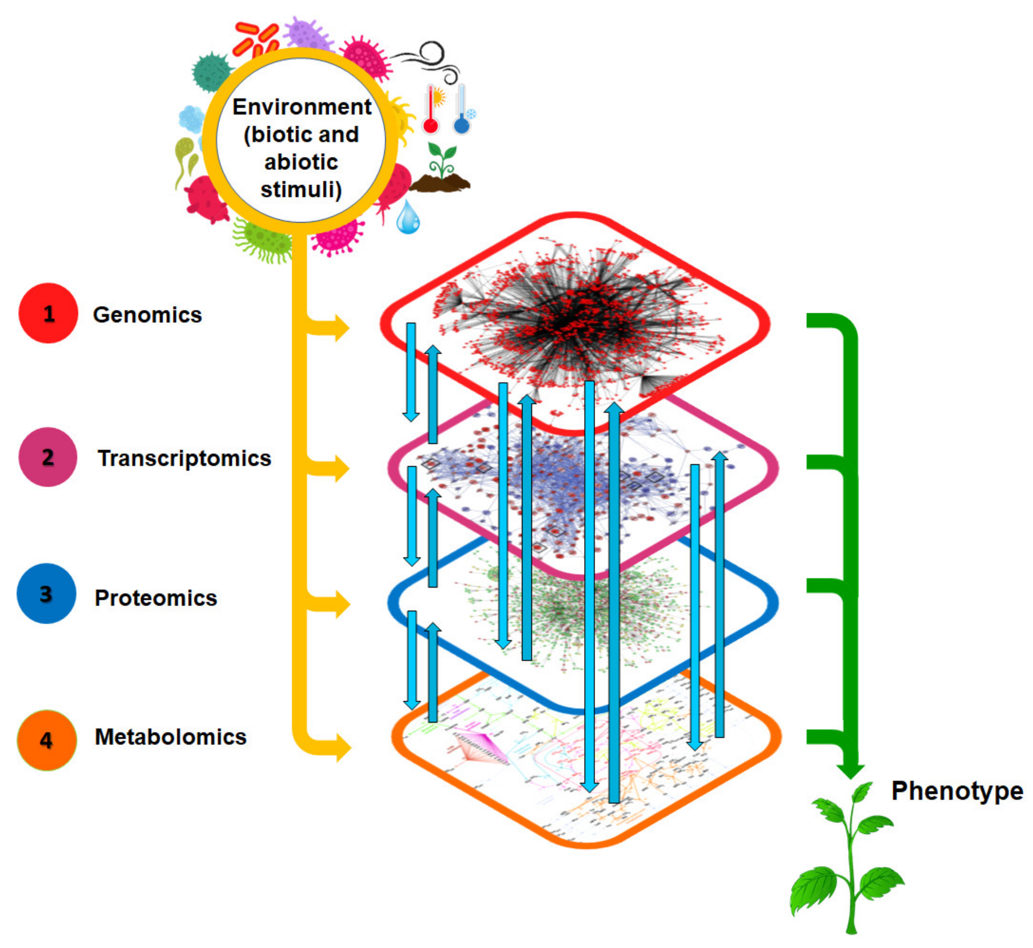 Agronomy 10 00831 g002