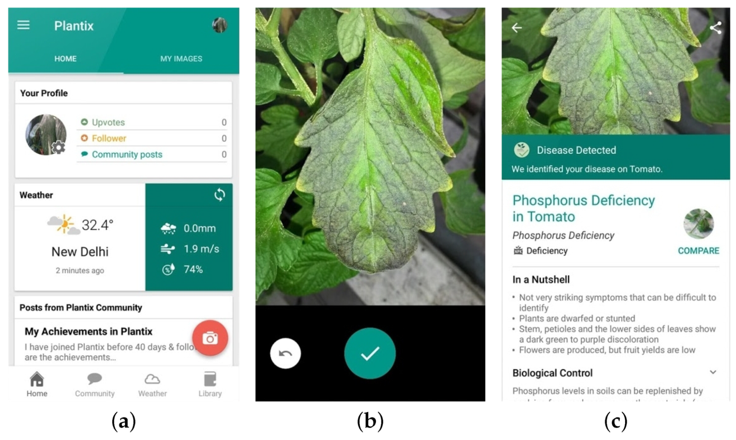 Agronomy 10 00855 g002