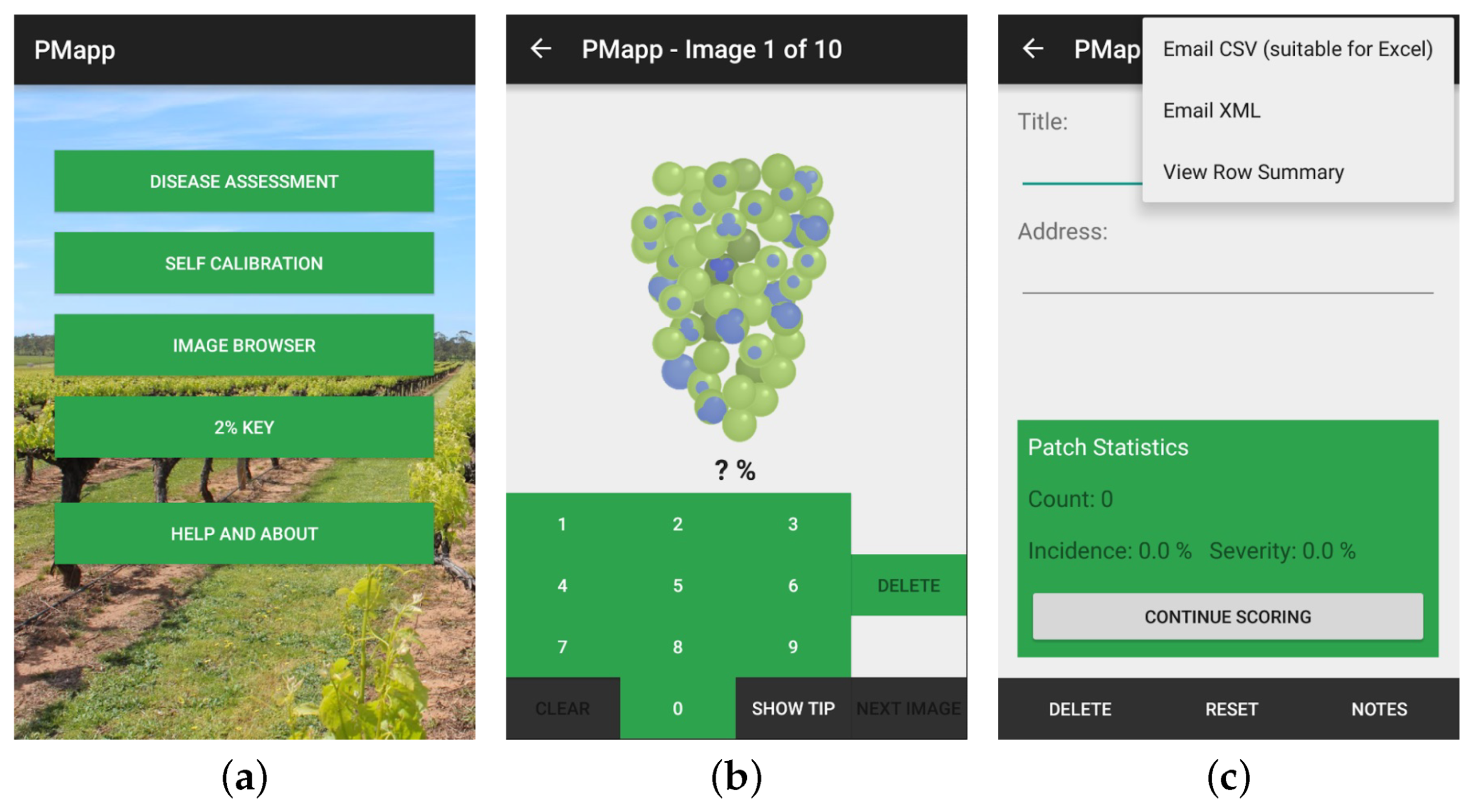 Agronomy 10 00855 g006