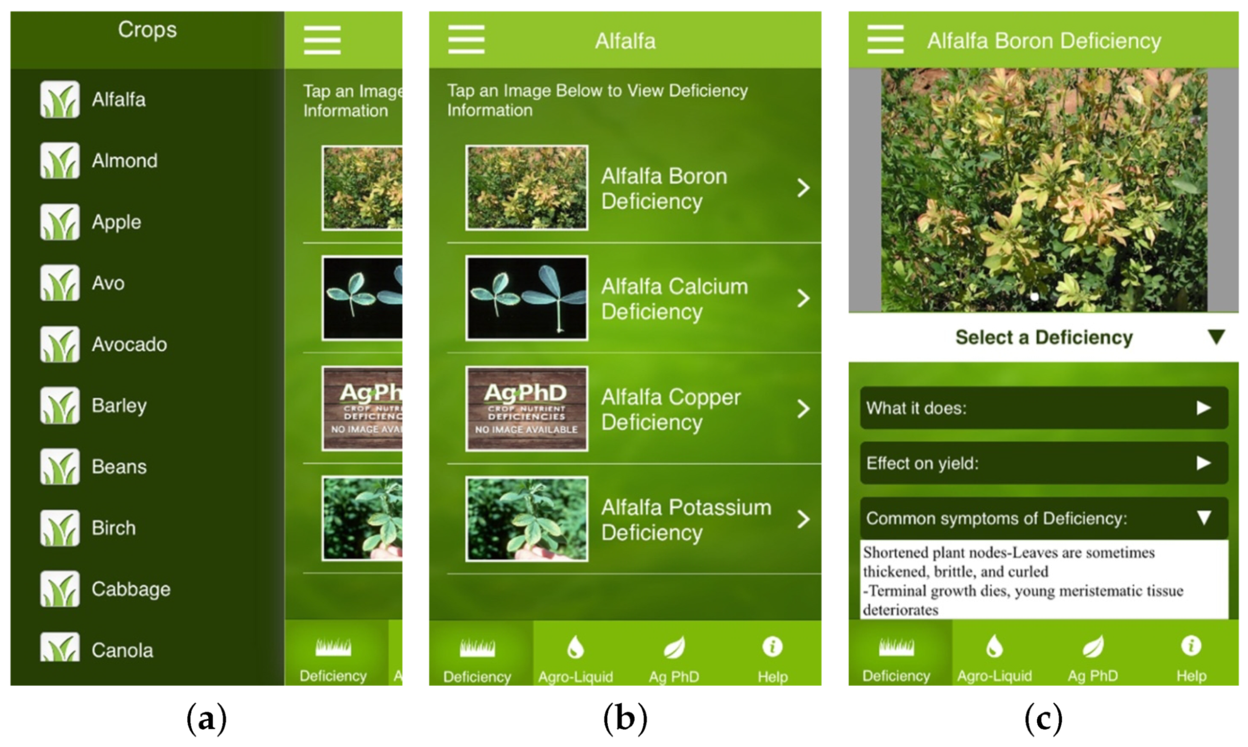Agronomy 10 00855 g011