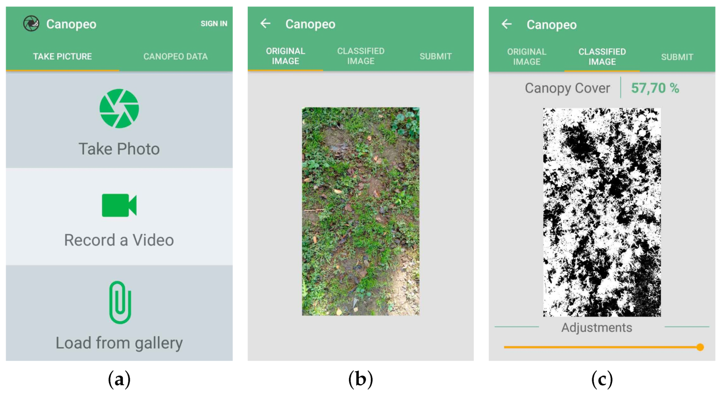 Agronomy 10 00855 g023