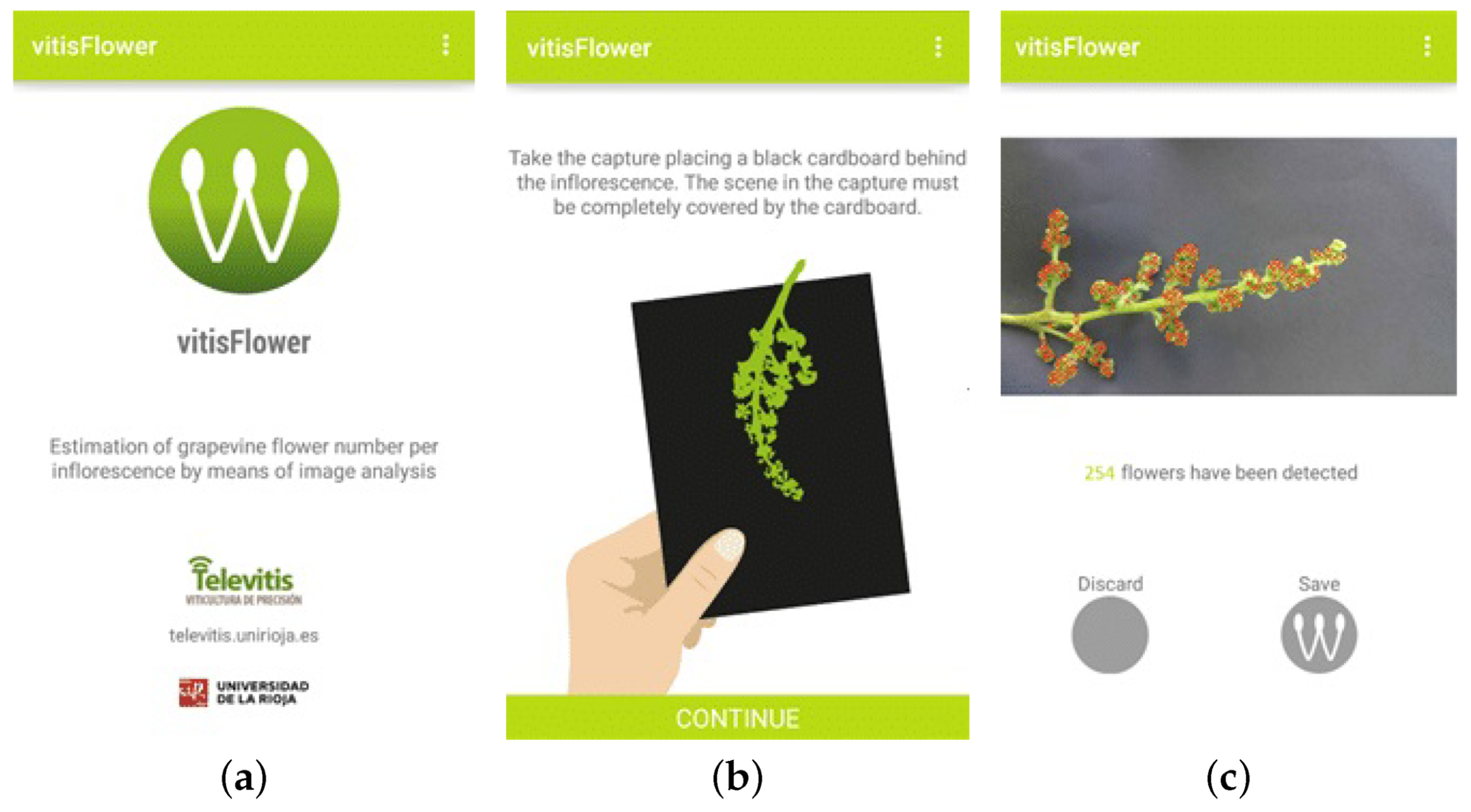 Agronomy 10 00855 g028
