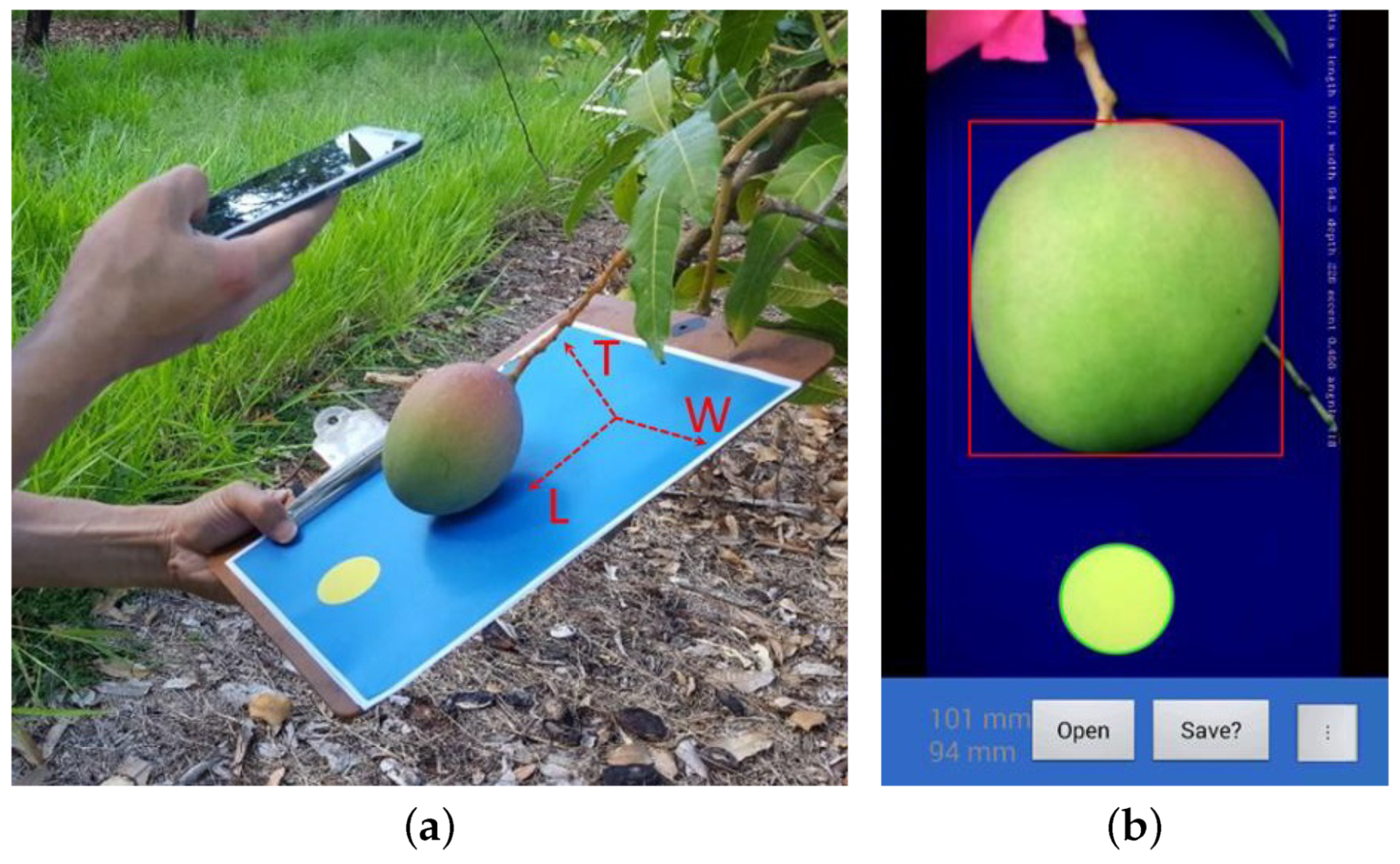 Agronomy 10 00855 g030