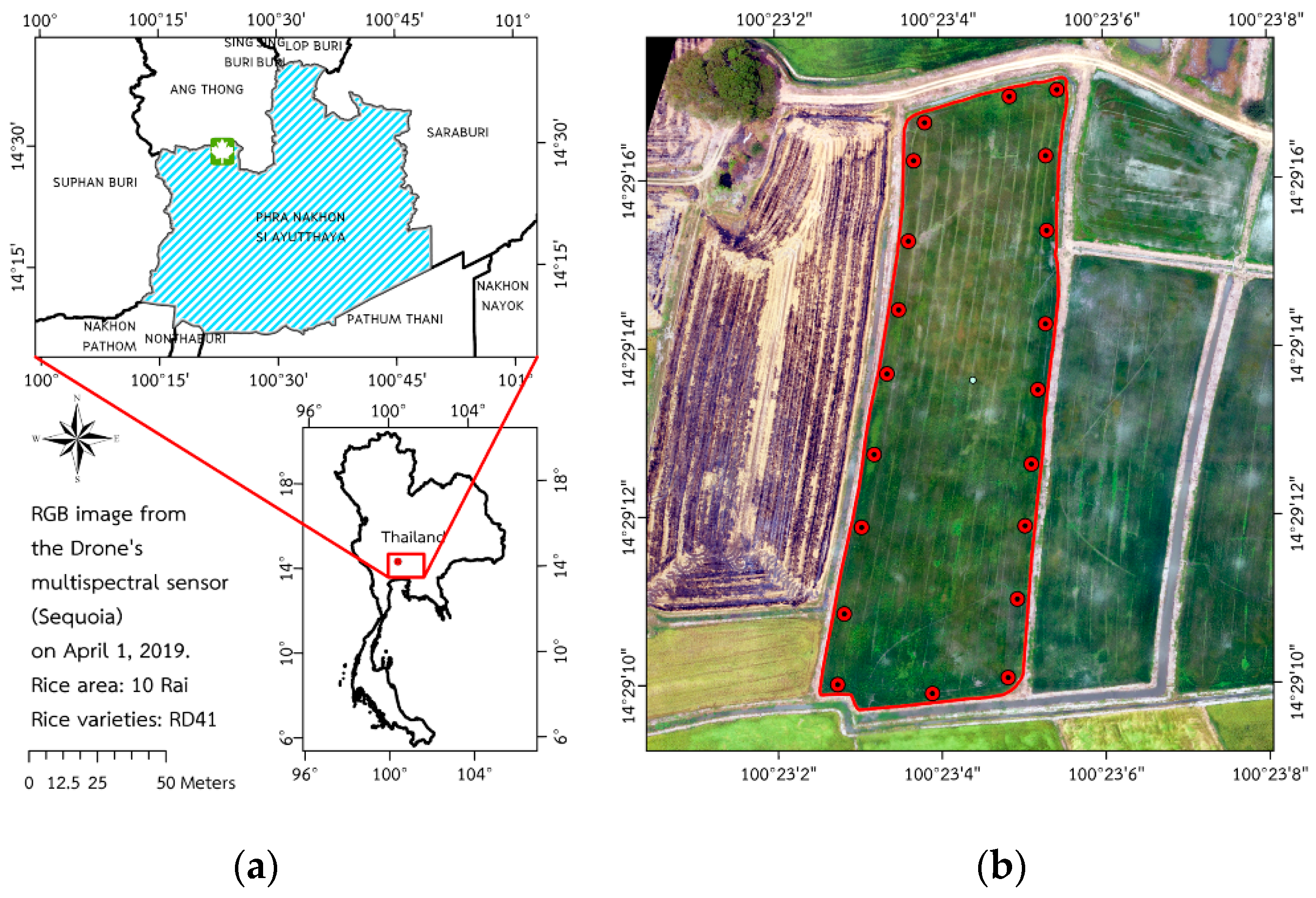 Agronomy 10 00858 g001 Agronomy 10 00858 g001