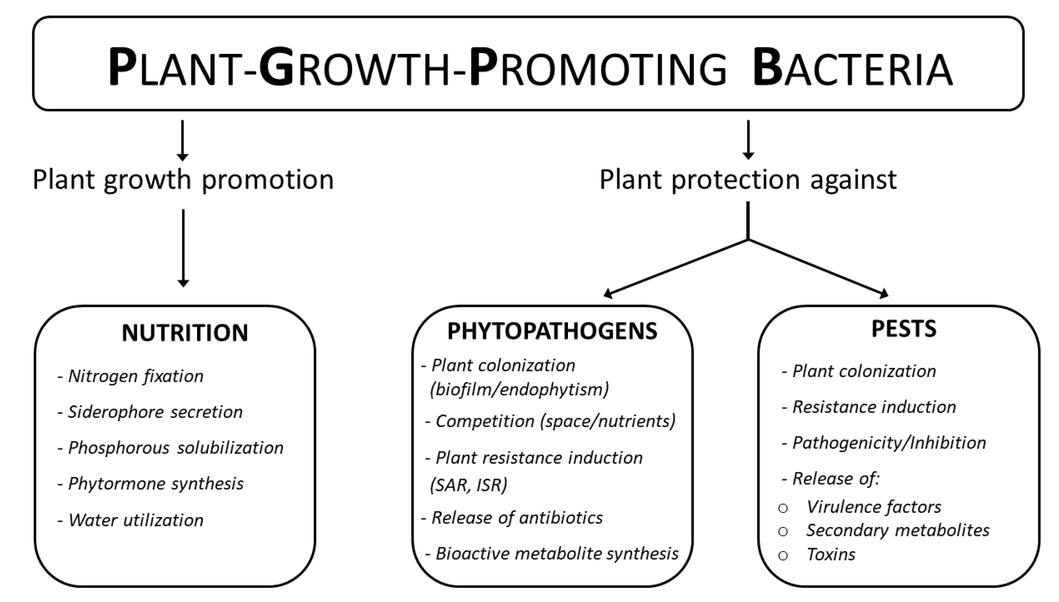Agronomy 10 00861 g001 Agronomy 10 00861 g001