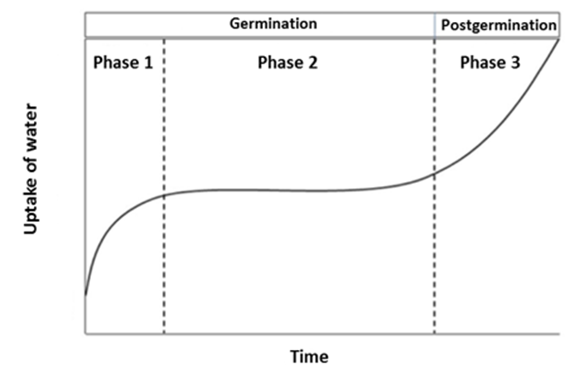Agronomy 10 00863 g006