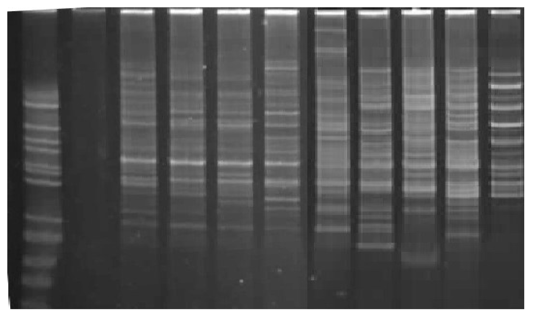 Agronomy 10 00868 g005 Agronomy 10 00868 g005