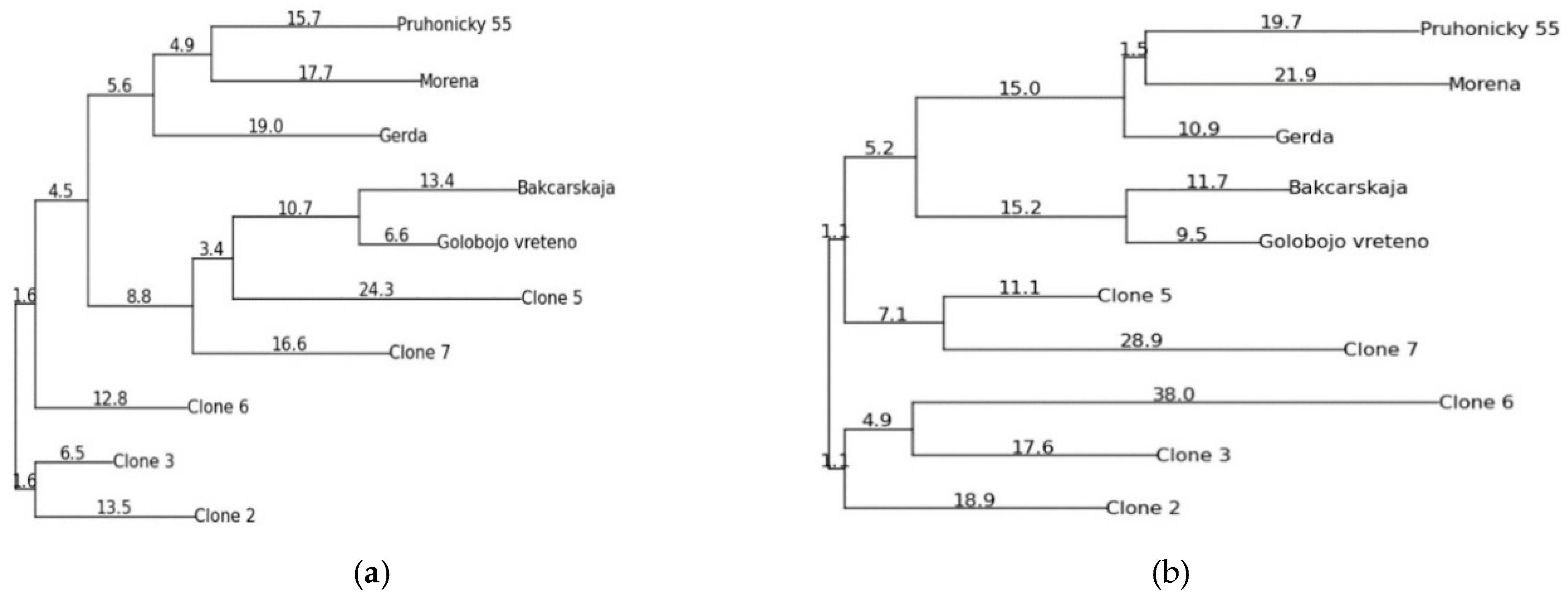 Agronomy 10 00868 g007 Agronomy 10 00868 g007
