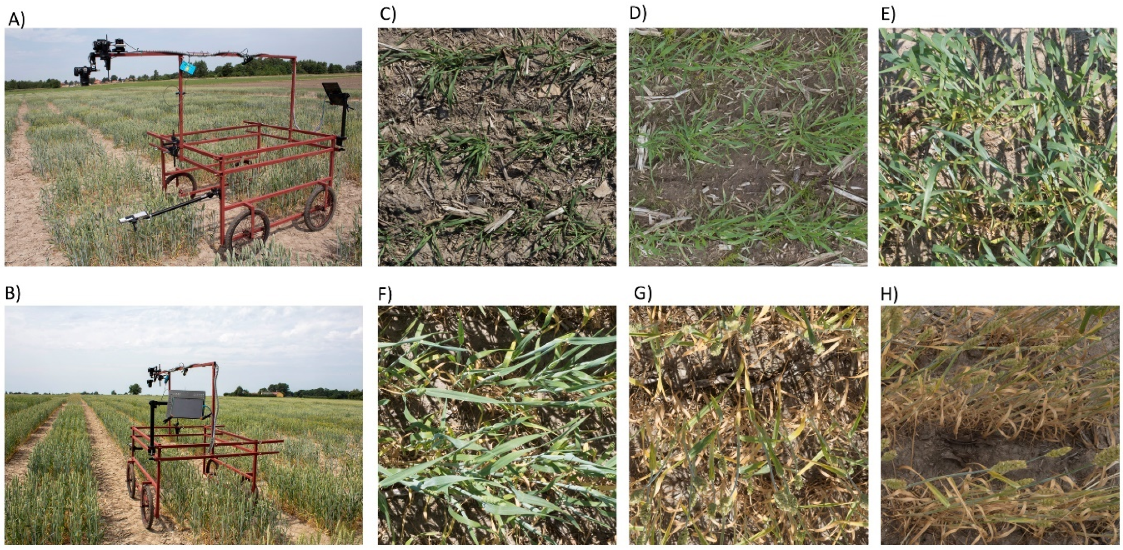 Agronomy 10 00882 g001 Agronomy 10 00882 g001