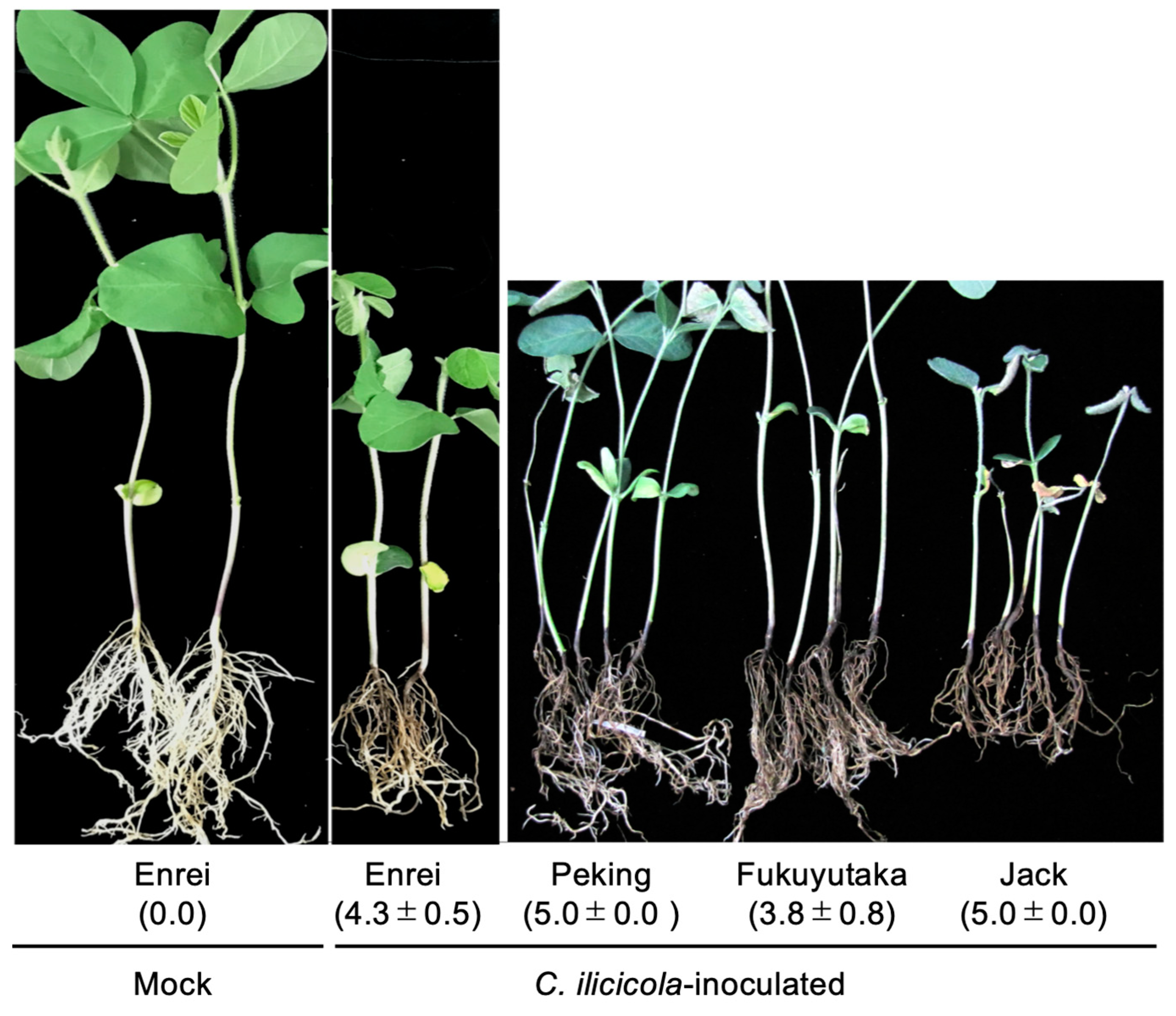 Agronomy 10 00887 g002