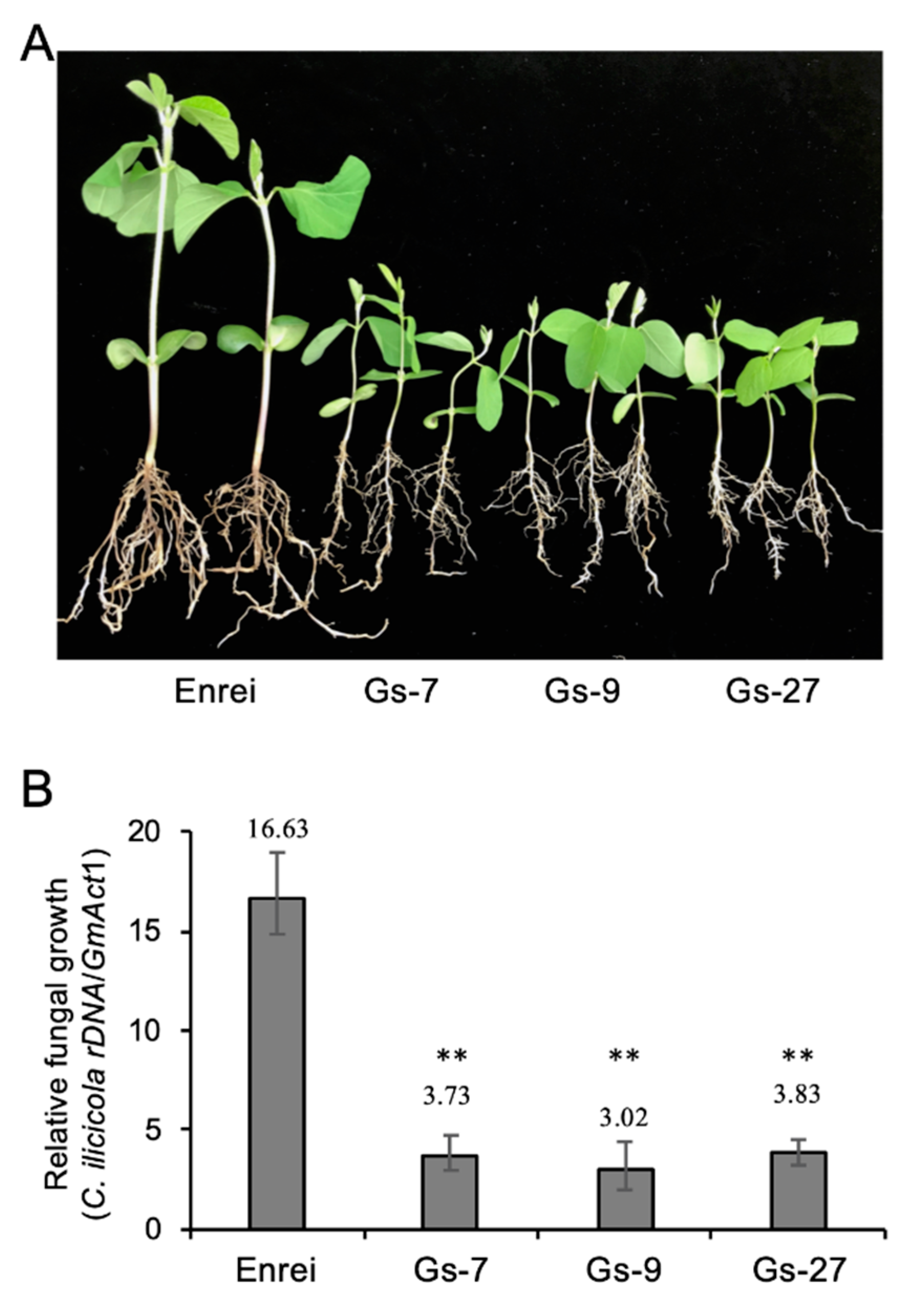 Agronomy 10 00887 g004
